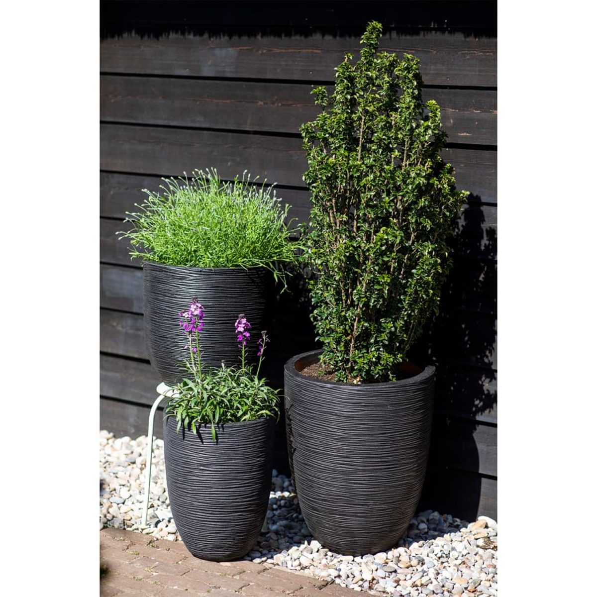 Drei schwarze, strukturierte Töpfe mit Pflanzen. Ein hoher Busch, einer mit kleinen lila Blüten und einer mit langem grünem Gras, auf einem Steinweg.