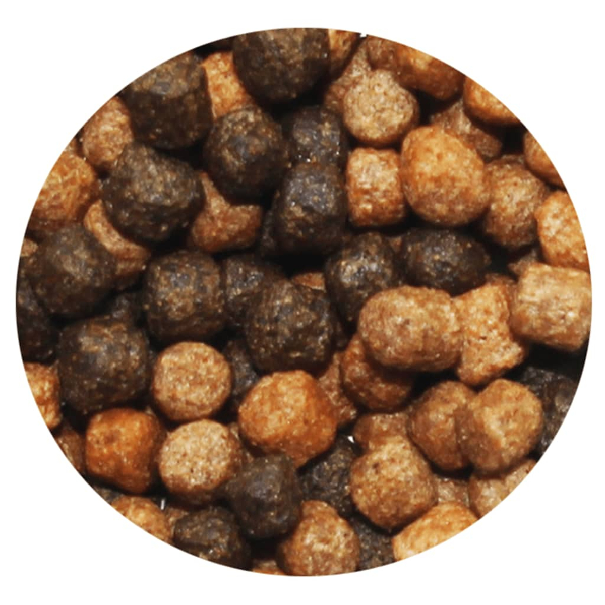 Primo piano di cibo secco per animali domestici. Vari pezzi di crocchette marroni e marrone scuro riempiono il fotogramma, con forme da rotonde a quadrate.