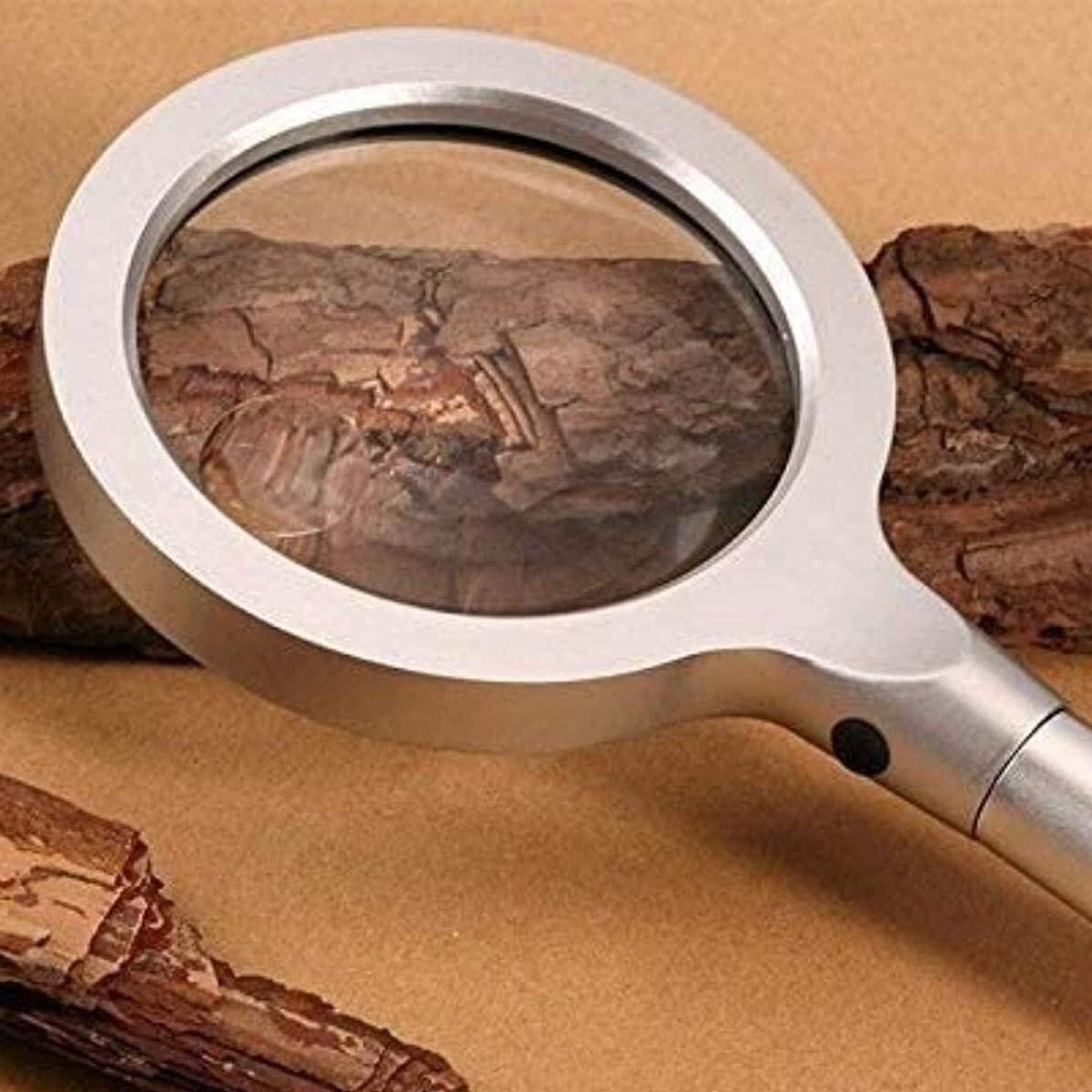 Eine Lupe fokussiert sich auf Baumrinde. Das Glas ist silberfarben. Die Rinde ist braun und rau. Der Hintergrund ist hellbraun.