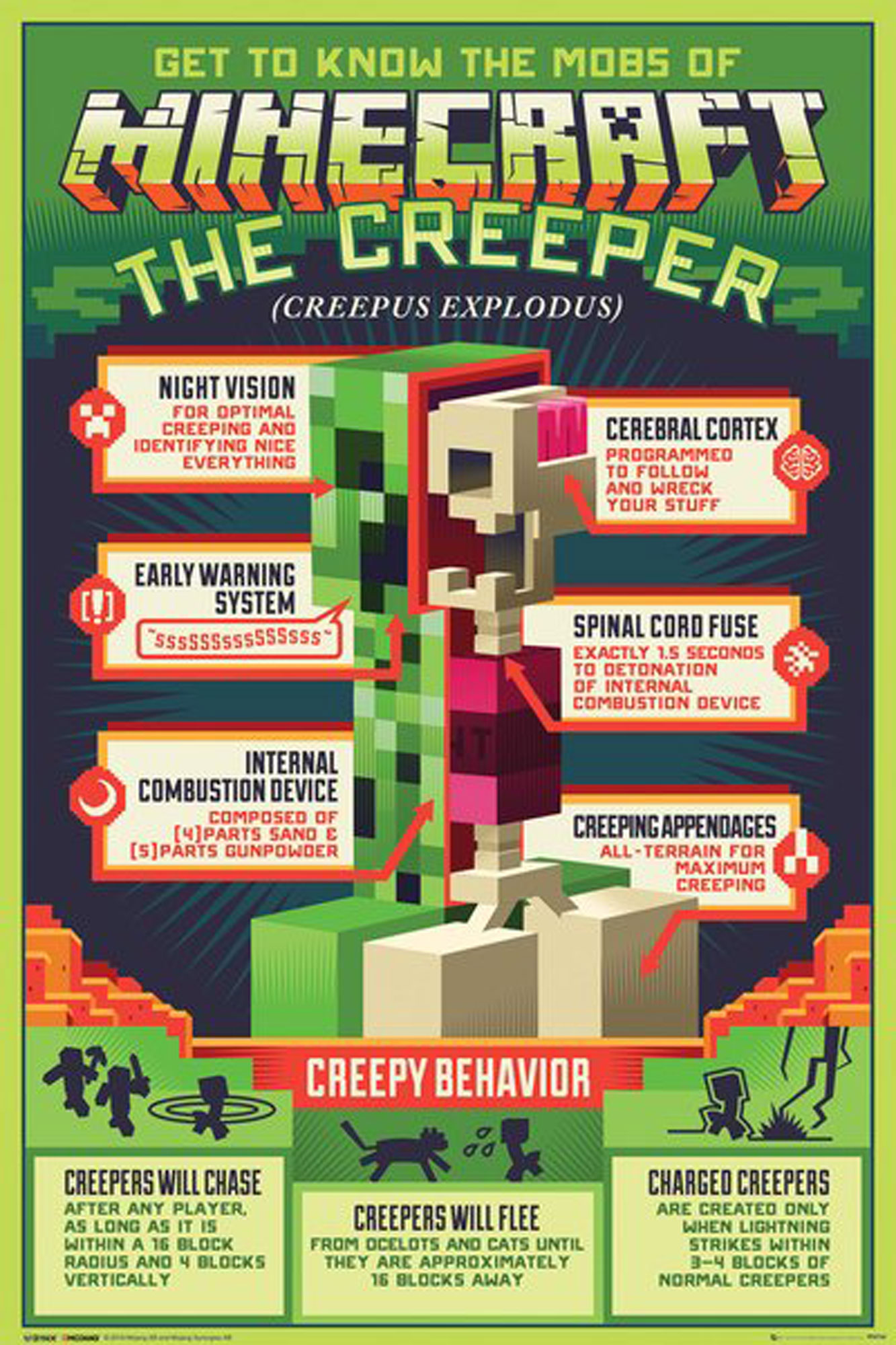 Minecraft Creeper Poster mit Details zu seinen Merkmalen, Verhalten und Anatomie, einschließlich Nachtsicht und innerer Verbrennung.