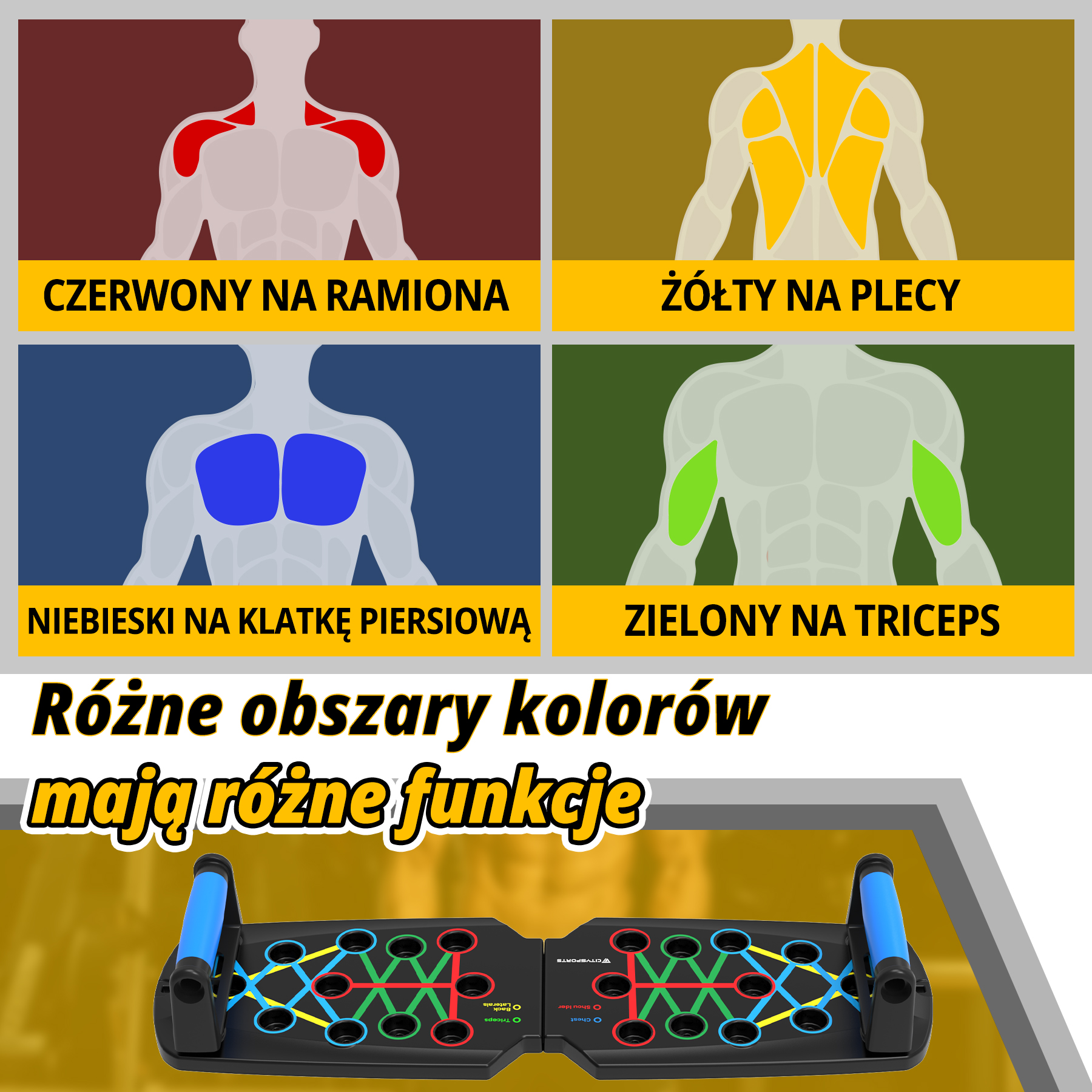Obraz pokazuje mięśnie podświetlone na czerwono, żółto, niebiesko i zielono z powiązanym tekstem. Deska do pompek na dole.