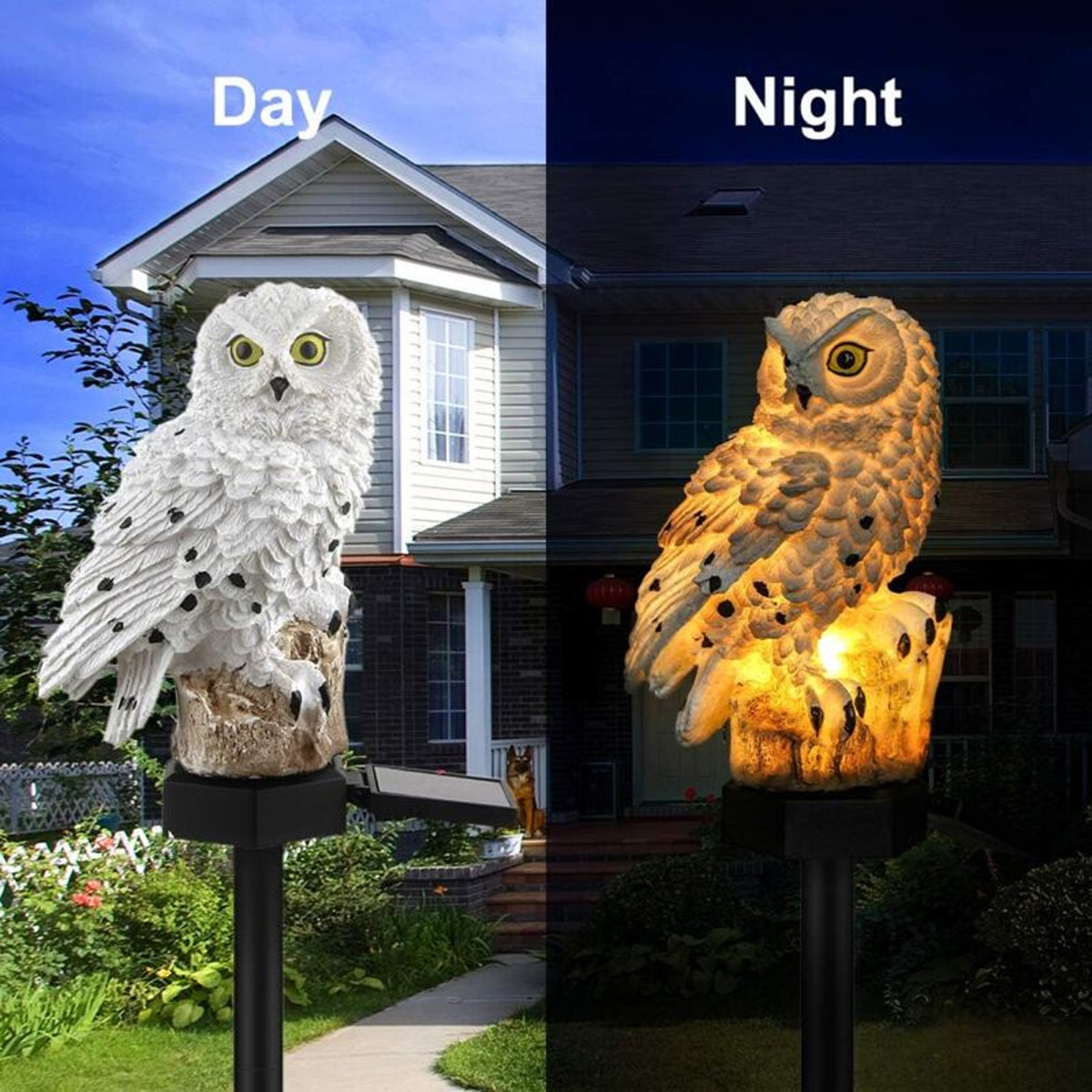 Ein geteiltes Bild zeigt eine Eulenstatue bei Tageslicht und beleuchtet bei Nacht. Die Eule steht auf einem Pfahl, mit einem Haus und Himmel im Hintergrund.