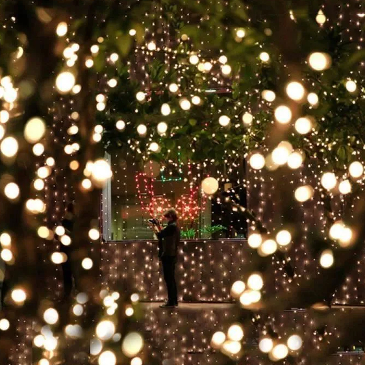 Eine Person fotografiert Weihnachtslichter. Warme, goldene Lichter schmücken Bäume und ein Fenster, was eine festliche Atmosphäre schafft.