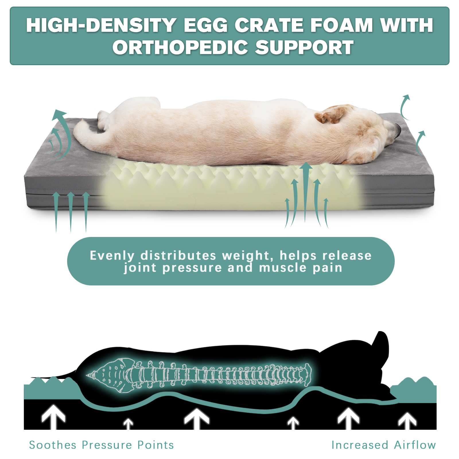 Ein Hund liegt auf einem Schaumbett. Das Bett hat ein Eierkarton-Design mit hoher Dichte. Text hebt orthopädische Unterstützung hervor.