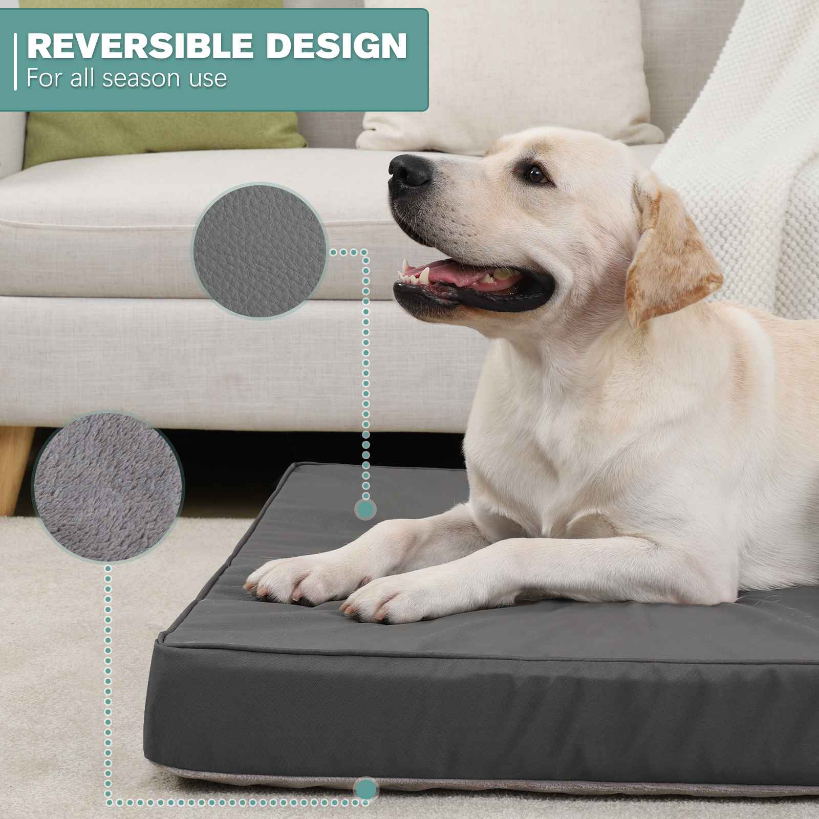 Ein hellbrauner Hund liegt auf einem grauen Hundebett. Das Hundebett steht auf einem hellen Teppich. Im Hintergrund ist ein Sofa.