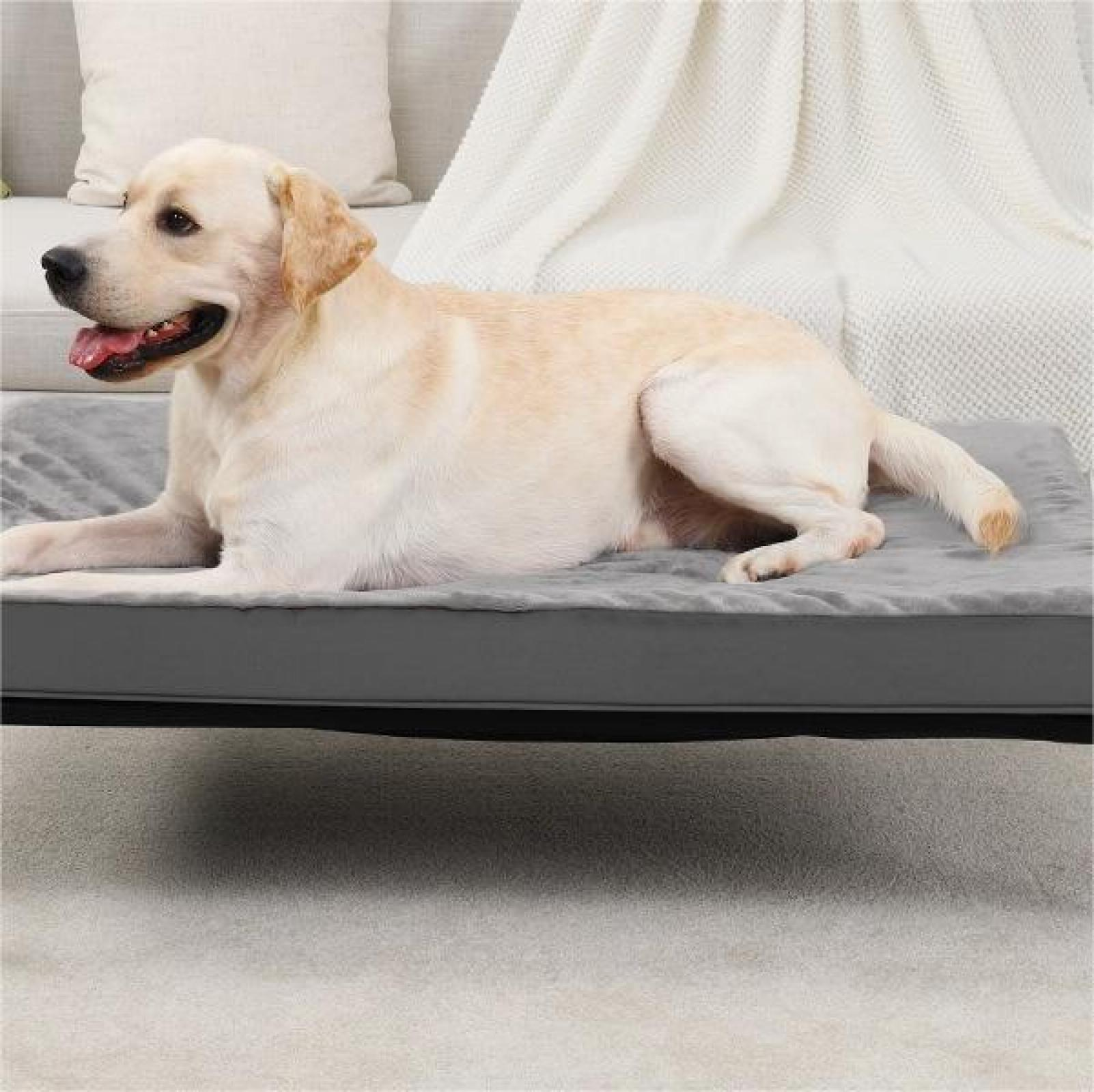 Ein gelber Labrador liegt auf einem grauen Hundebett. Hinter dem Hund liegen eine weiße Decke und ein Kissen.