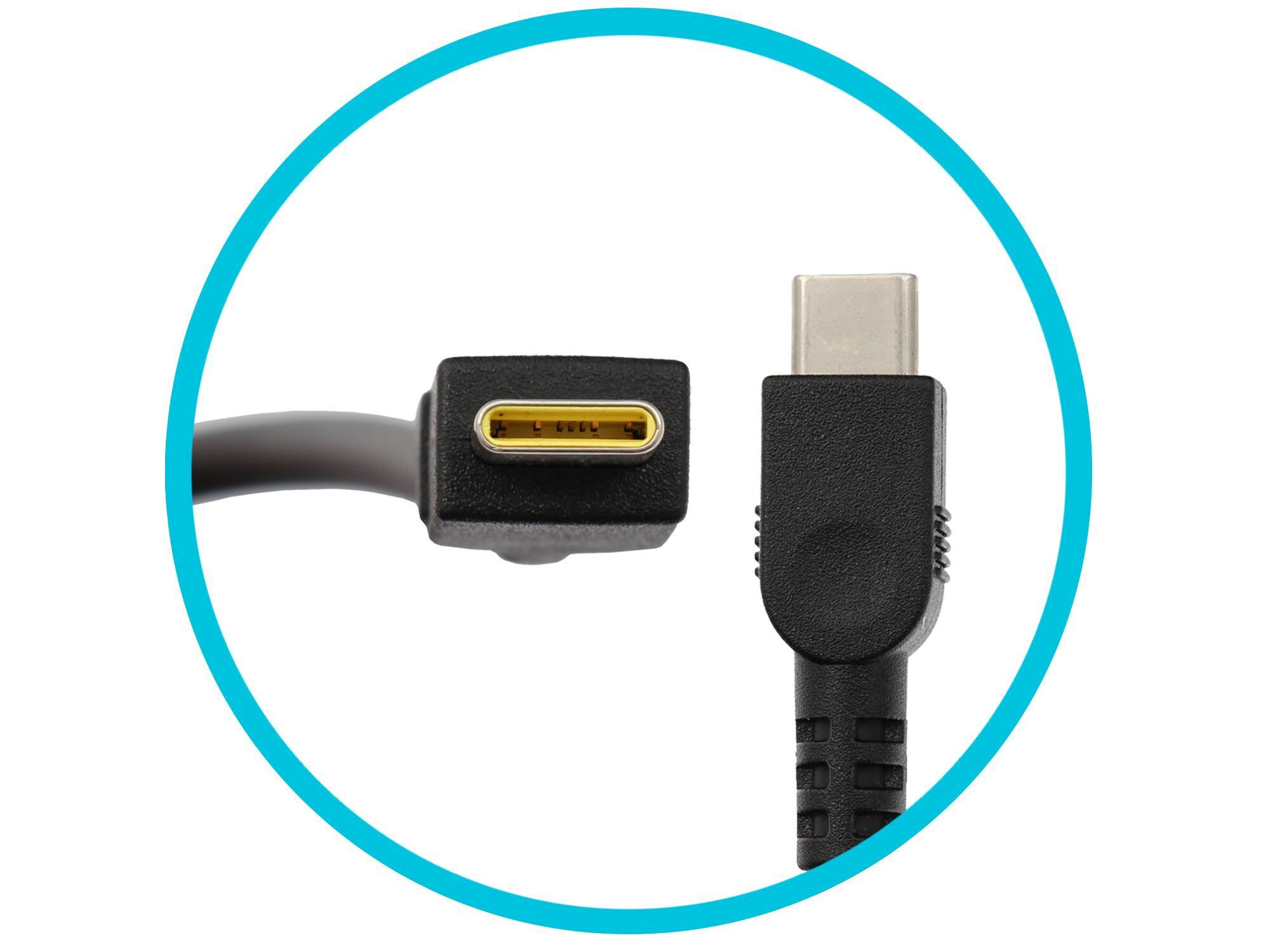 Zwei USB-C-Anschlüsse an einem grauen Kabel, in einem blauen Kreis. Ein Anschluss hat ein goldfarbenes Innere, der andere ein silbernes.
