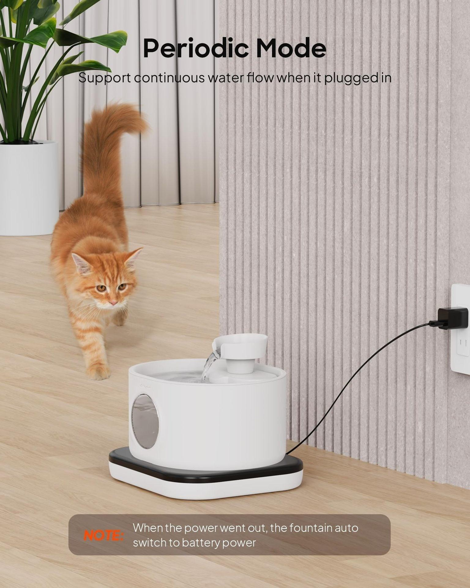 Eine orange Katze geht in der Nähe eines weißen Katzenbrunnens. Der Brunnen ist an eine Steckdose angeschlossen.