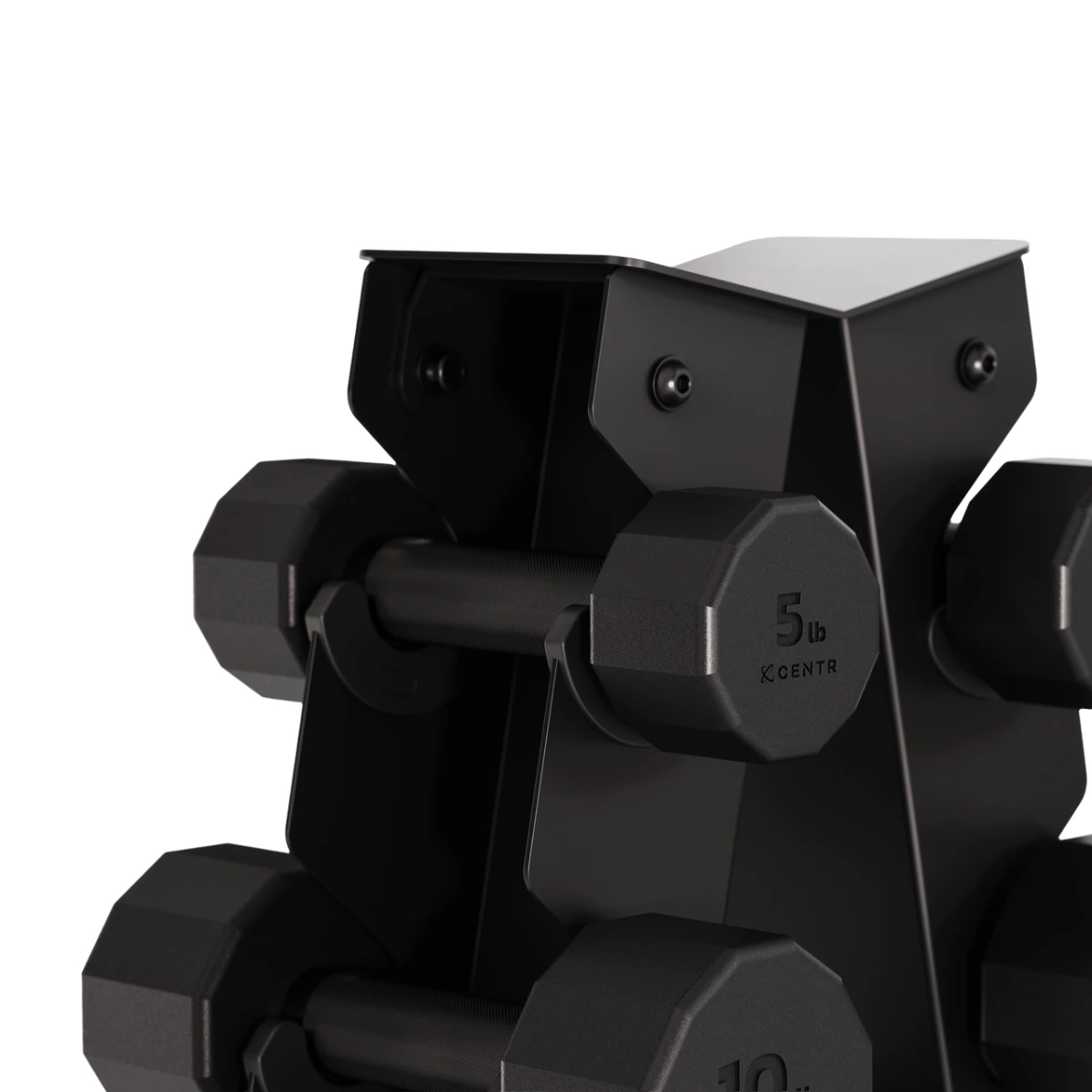 Black dumbbell rack with dumbbells. A 5lb dumbbell is in focus. White background.