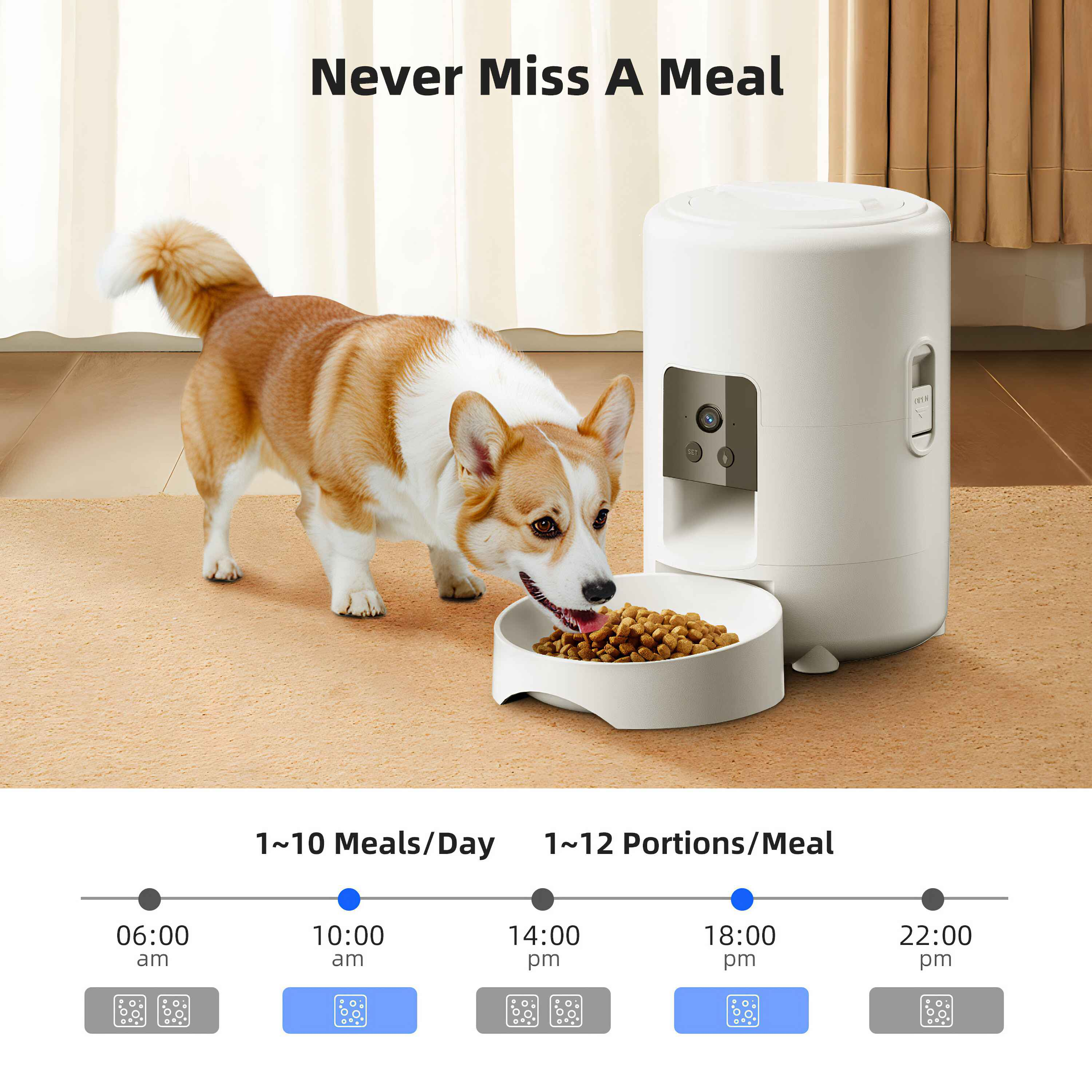 Ein Hund frisst aus einer weißen Schüssel neben einem automatischen Futterautomaten. Text sagt 'Never Miss A Meal' und Essenszeiten.