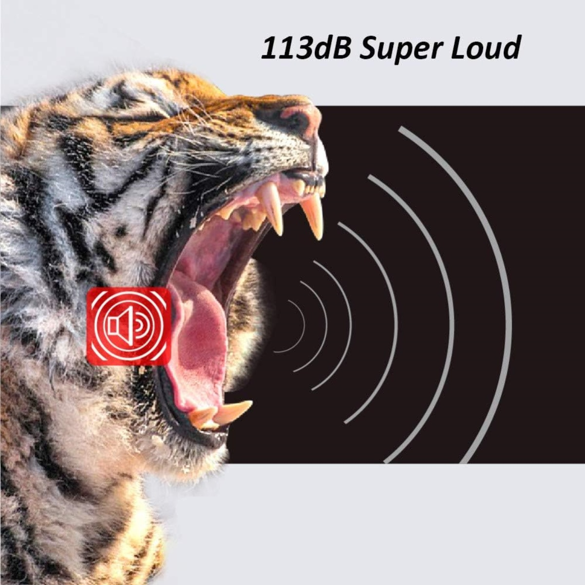 Brüllender Tiger mit offenem Maul, Zähne und Zunge zeigend. Schallwellen gehen vom Mund aus, mit einem Lautsprechersymbol.