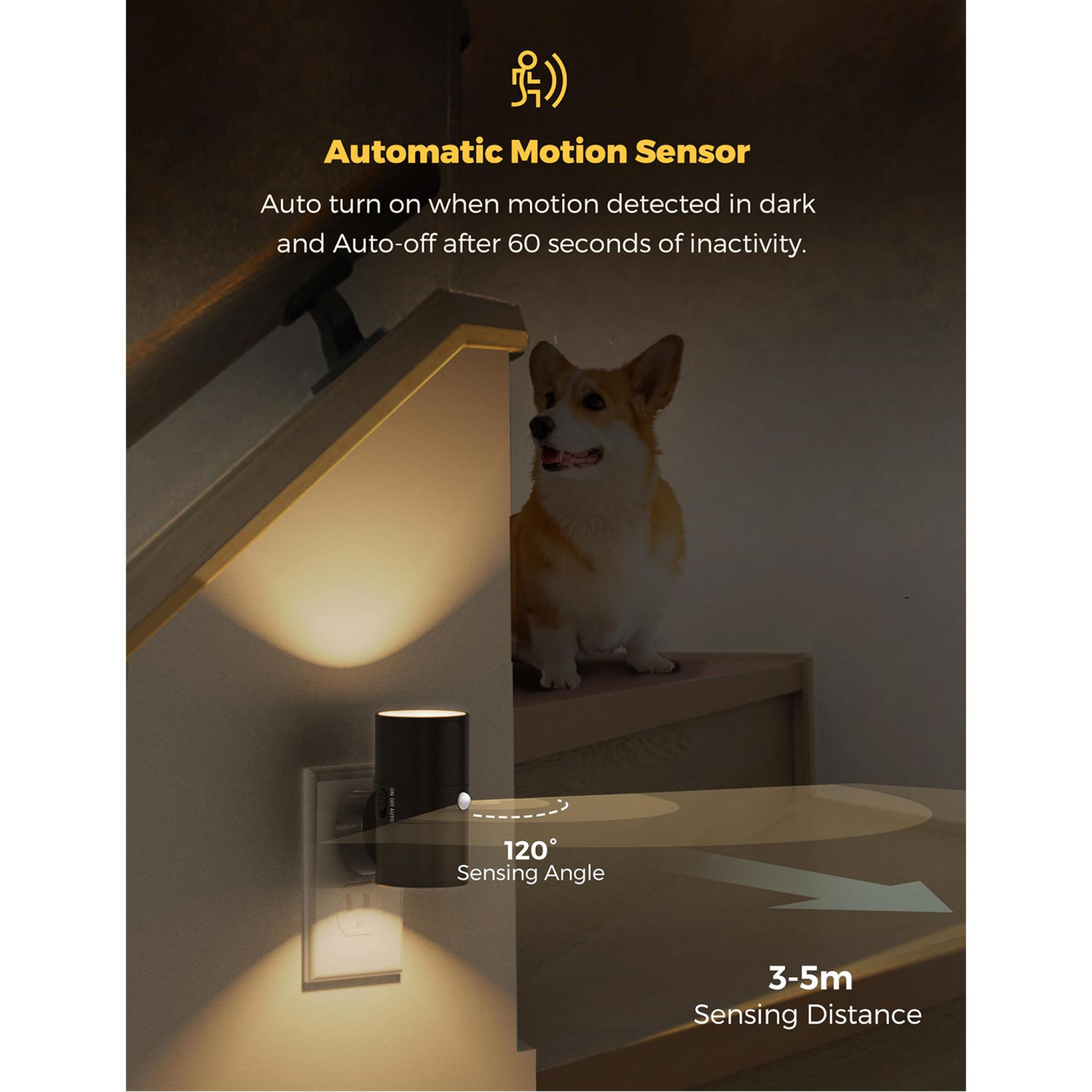 Ein Corgi-Hund sitzt auf Stufen in der Nähe eines automatischen Bewegungssensors mit Text zu Funktionen und Details.