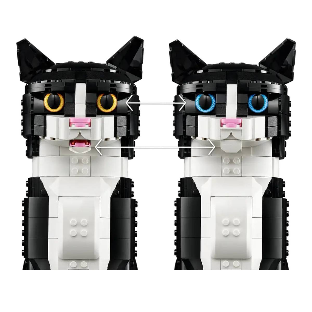Dwie głowy kota Lego obok siebie. Jedna z żółtymi oczami, druga z niebieskimi. Obie mają czarno-białe futro i różowe nosy.