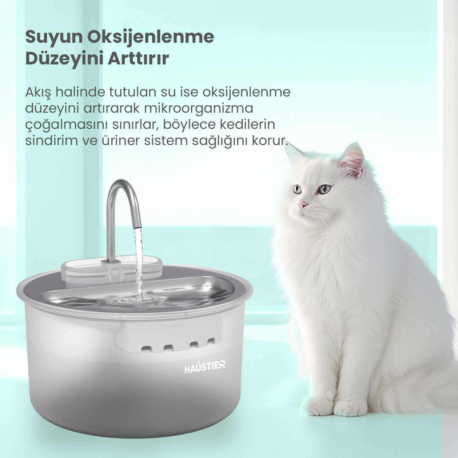 Beyaz bir kedi, bir evcil hayvan su çeşmesinin yanında oturuyor. Su bir ağızdan akıyor. Türkçe metin görünür.