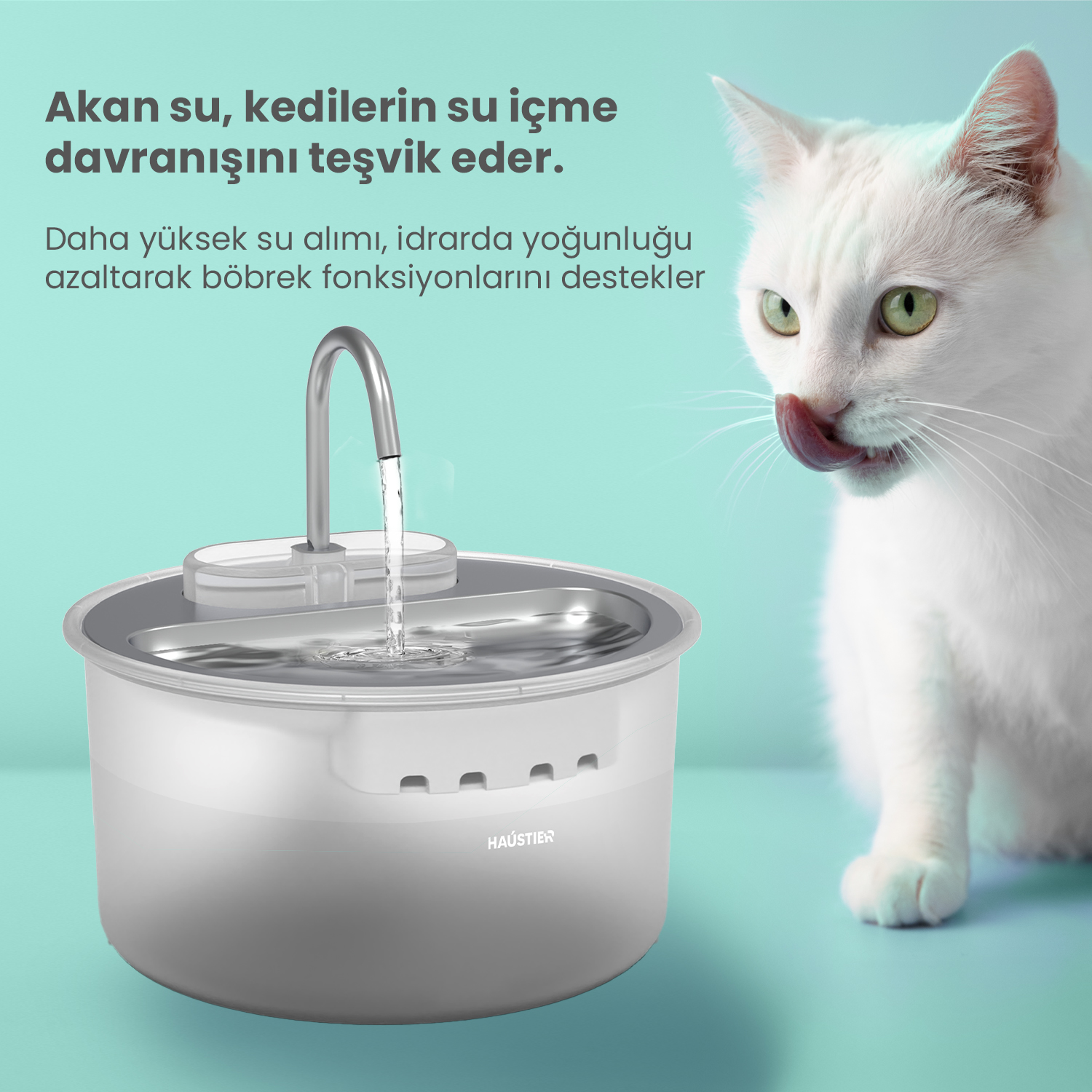 Beyaz bir kedi, bir evcil hayvan su çeşmesinin yanında dudaklarını yalar. Bir musluktan beyaz ve gri bir kaba su akar.