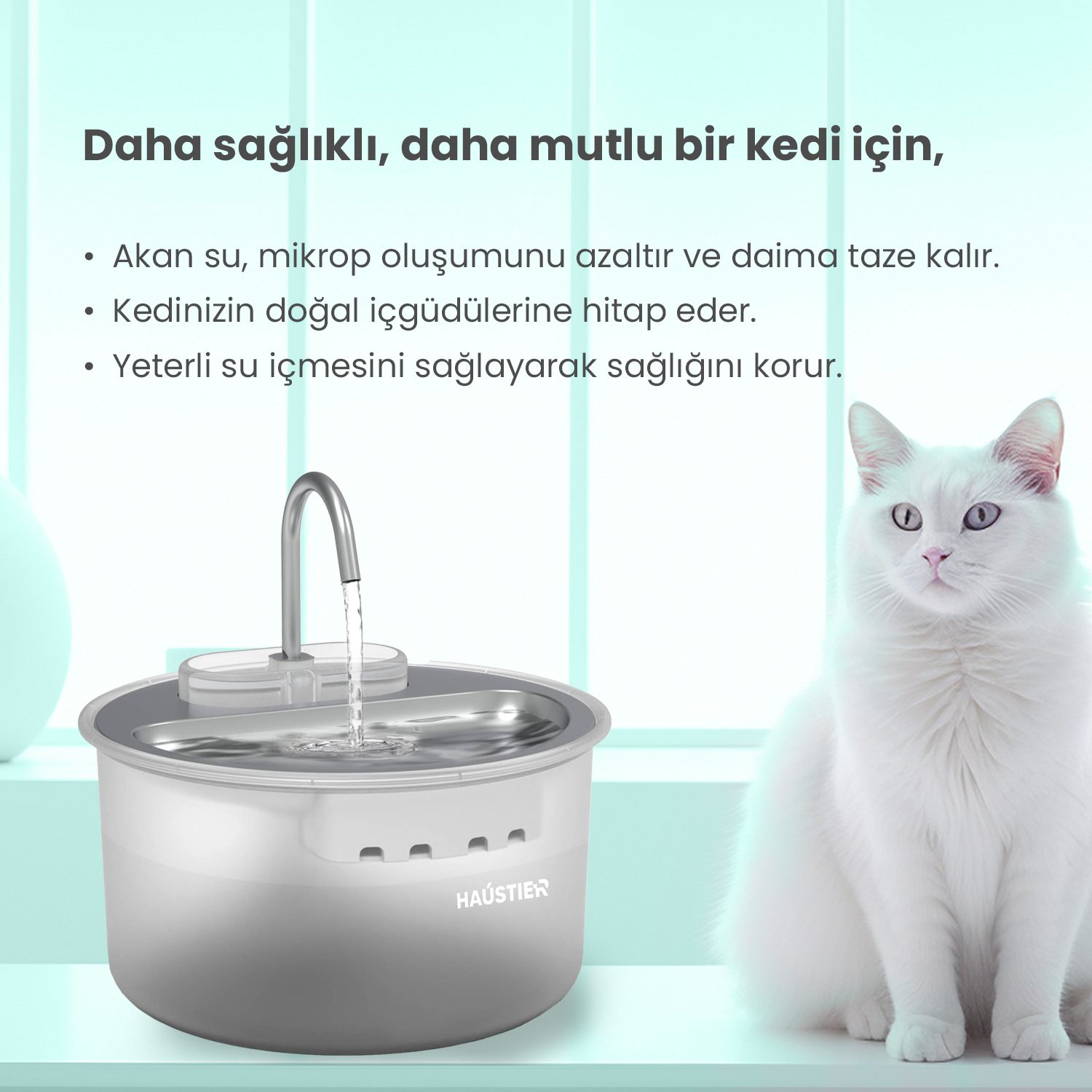Beyaz bir kedi, su çeşmesinin yanında oturuyor. Çeşmede akan su var. Türkçe metin, daha sağlıklı kedileri teşvik ediyor.