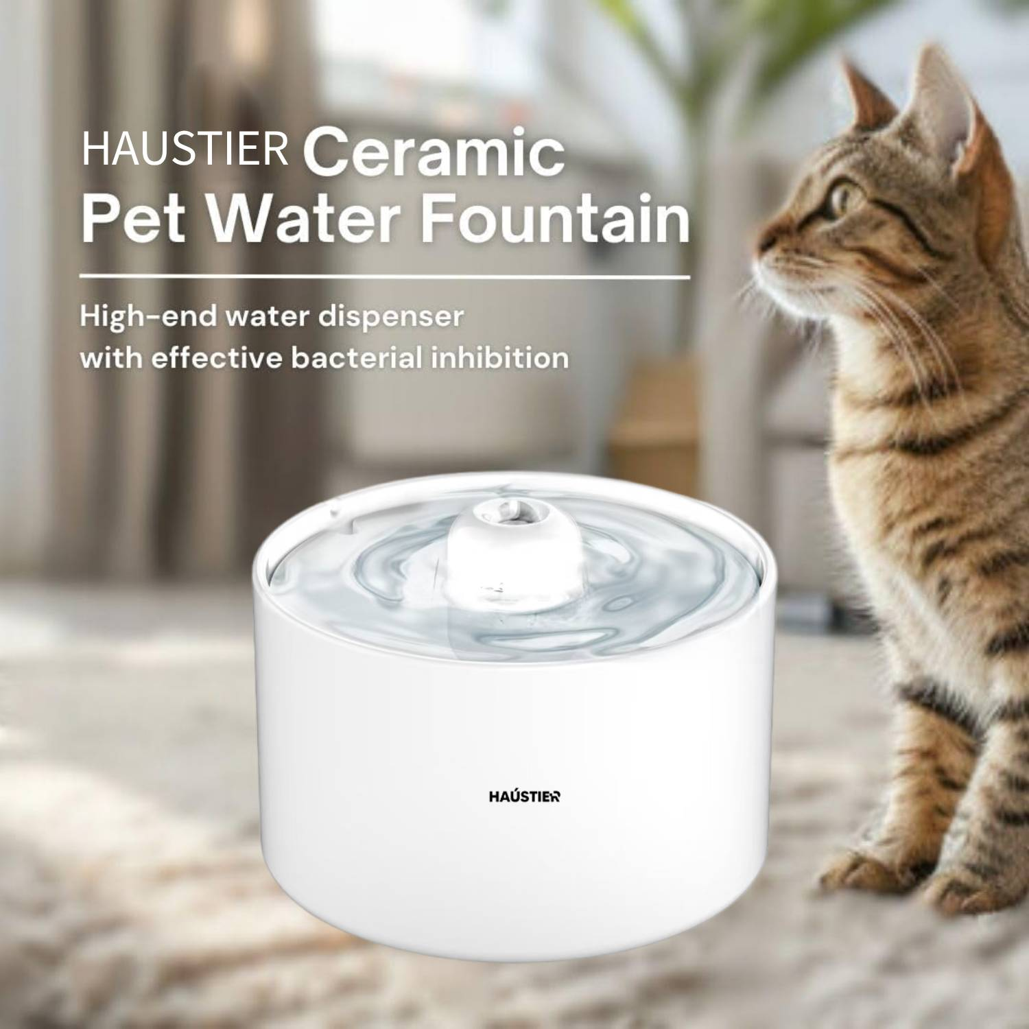 Bir kediye bakan beyaz bir evcil hayvan su çeşmesi. Çeşmede 'HAUSTIER Ceramic Pet Water Fountain' yazıyor.