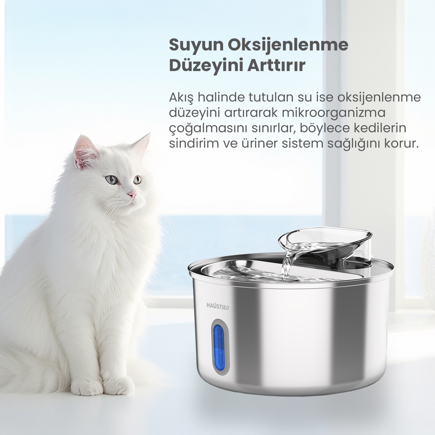 Beyaz bir kedi bir su çeşmesinin yanında oturuyor. Paslanmaz çelik çeşmeden su akıyor. Yukarıdaki metin 'Suyun oksijen seviyesini artırın' diyor.