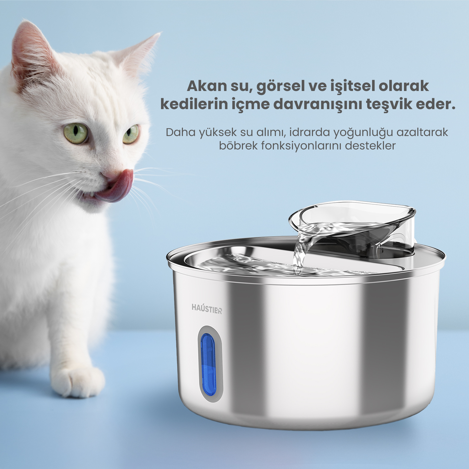 Beyaz bir kedi, paslanmaz çelik bir su çeşmesinin yakınında dudaklarını yalar. Su kaseye dökülür. Metin, kedilerin su alımını teşvik eder.
