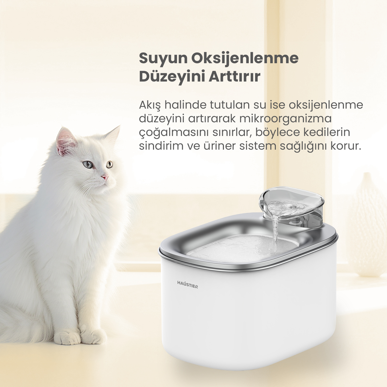 Beyaz bir kedi, beyaz bir evcil hayvan su çeşmesinin yanında. Türkçe metinde, kedinin sağlığı için suyun oksijen seviyesini artırdığı yazıyor.