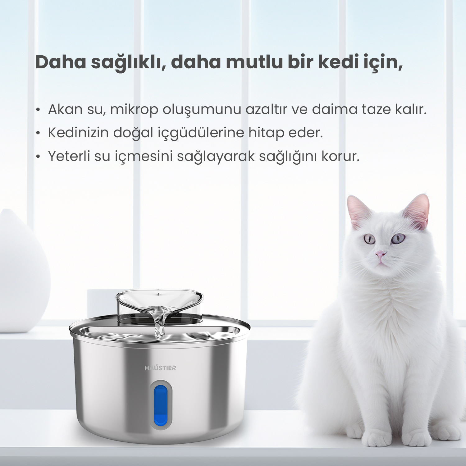 Beyaz bir kedi, akan suyun olduğu gümüş bir evcil hayvan su çeşmesinin yanında oturuyor. Arka planda bir pencere ve beyaz bir vazo var.