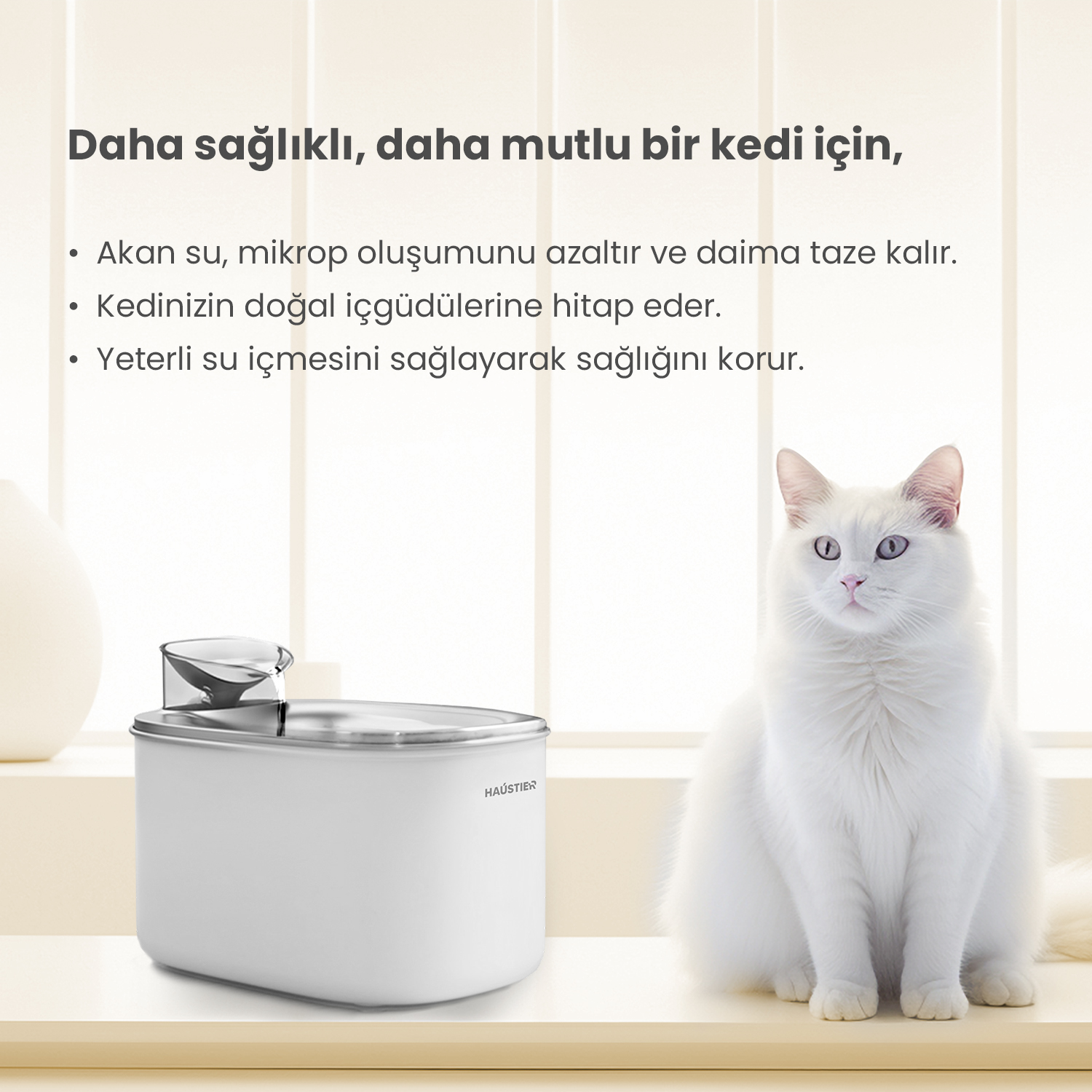 Beyaz bir kedi su çeşmesinin yanında oturuyor. Metin daha sağlıklı bir kediyi teşvik ediyor. Çeşmede akan su var. Arka plan bir pencere.
