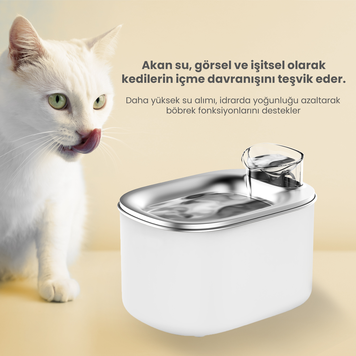 Beyaz bir kedi, içme davranışını teşvik eden beyaz ve gümüş bir evcil hayvan su çeşmesinin yanında ağzını yalar.
