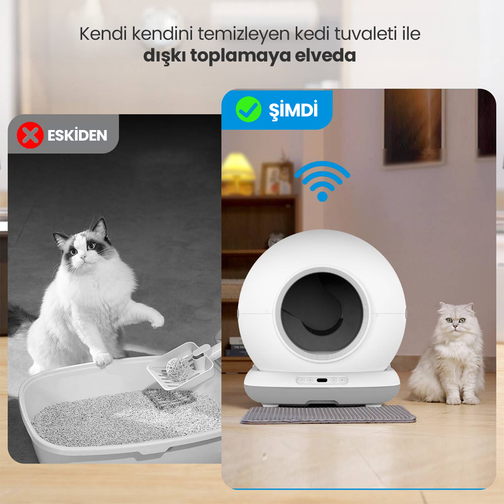 Resimde eski ve yeni kedi tuvaleti gösteriliyor. Bir taraf: eski kutuda kedi. Diğer taraf: yeni, kendi kendini temizleyen tuvalet ve bir kedi.