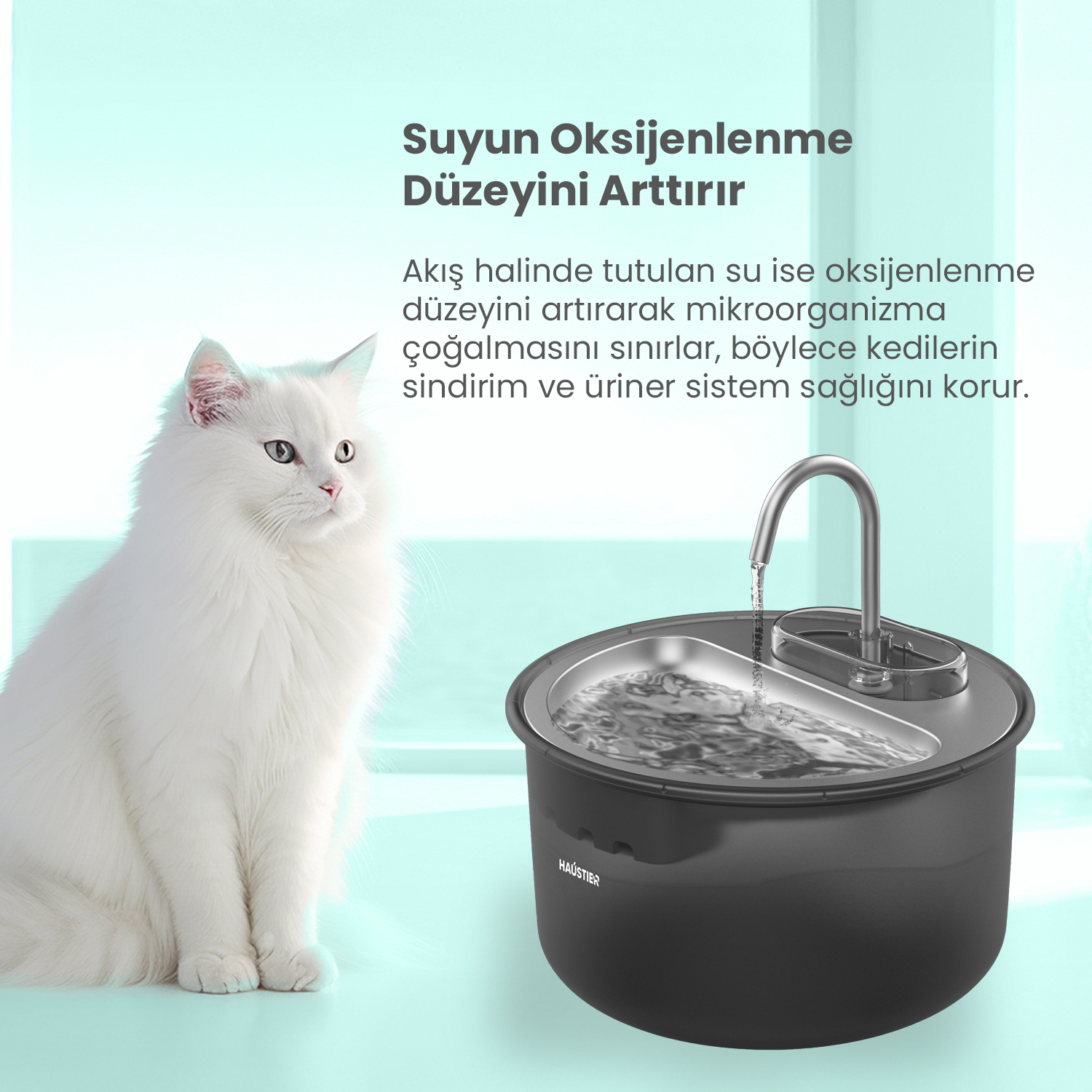 Beyaz bir kedi, akan suyun olduğu siyah bir evcil hayvan su çeşmesinin yanında oturuyor. Metin, kedilerin sağlığı için oksijenlenmeyi teşvik ediyor.