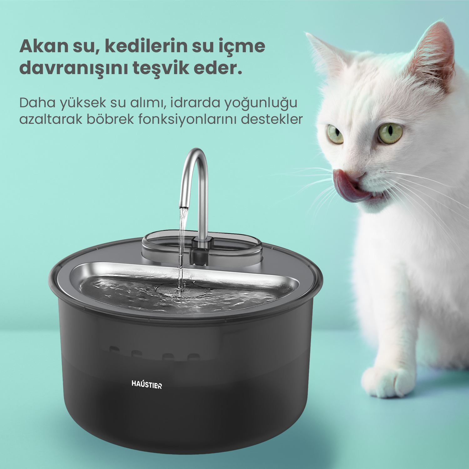 Beyaz bir kedi, bir su çeşmesinin yakınında dudaklarını yalar. Çeşme, akan su ile siyah renktedir. Yukarıda Türkçe metin bulunmaktadır.