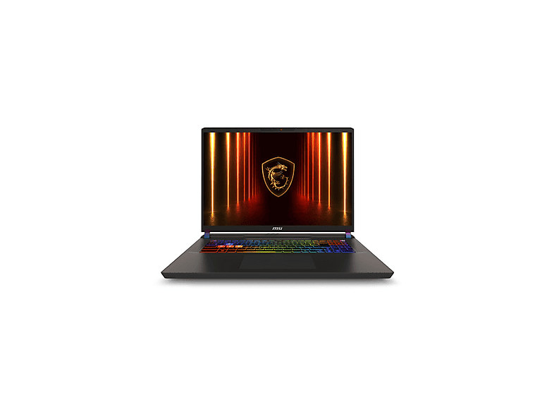 MSI NB Vector 17 HX AI A2XWHG-081TR Intel Core Ultra 9 275HX 32 GB