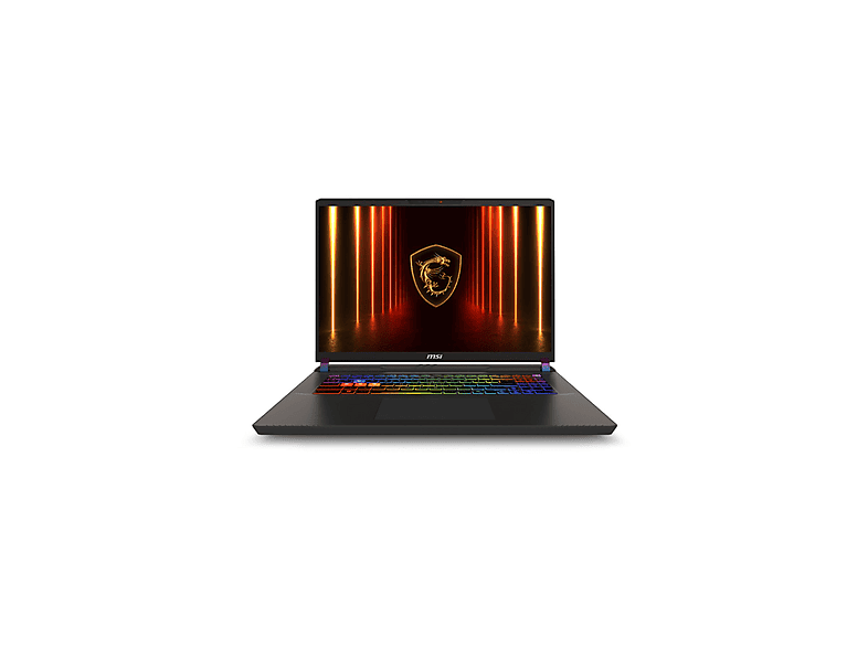 MSI NB Vector 17 HX AI A2XWHG-086TR Intel Core Ultra 7 255HX 32 GB