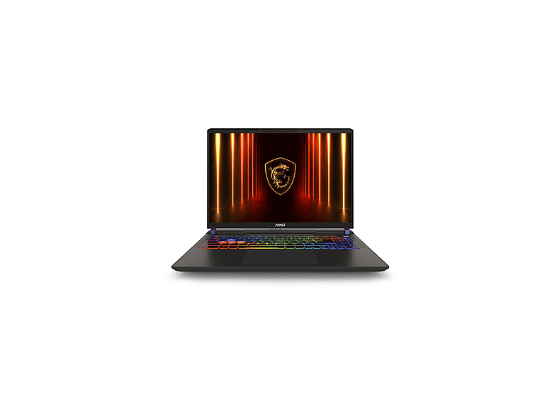 MSI Vector 16 HX AI A2XWIG-090XTR Intel Core Ultra 9 275HX 16 GB