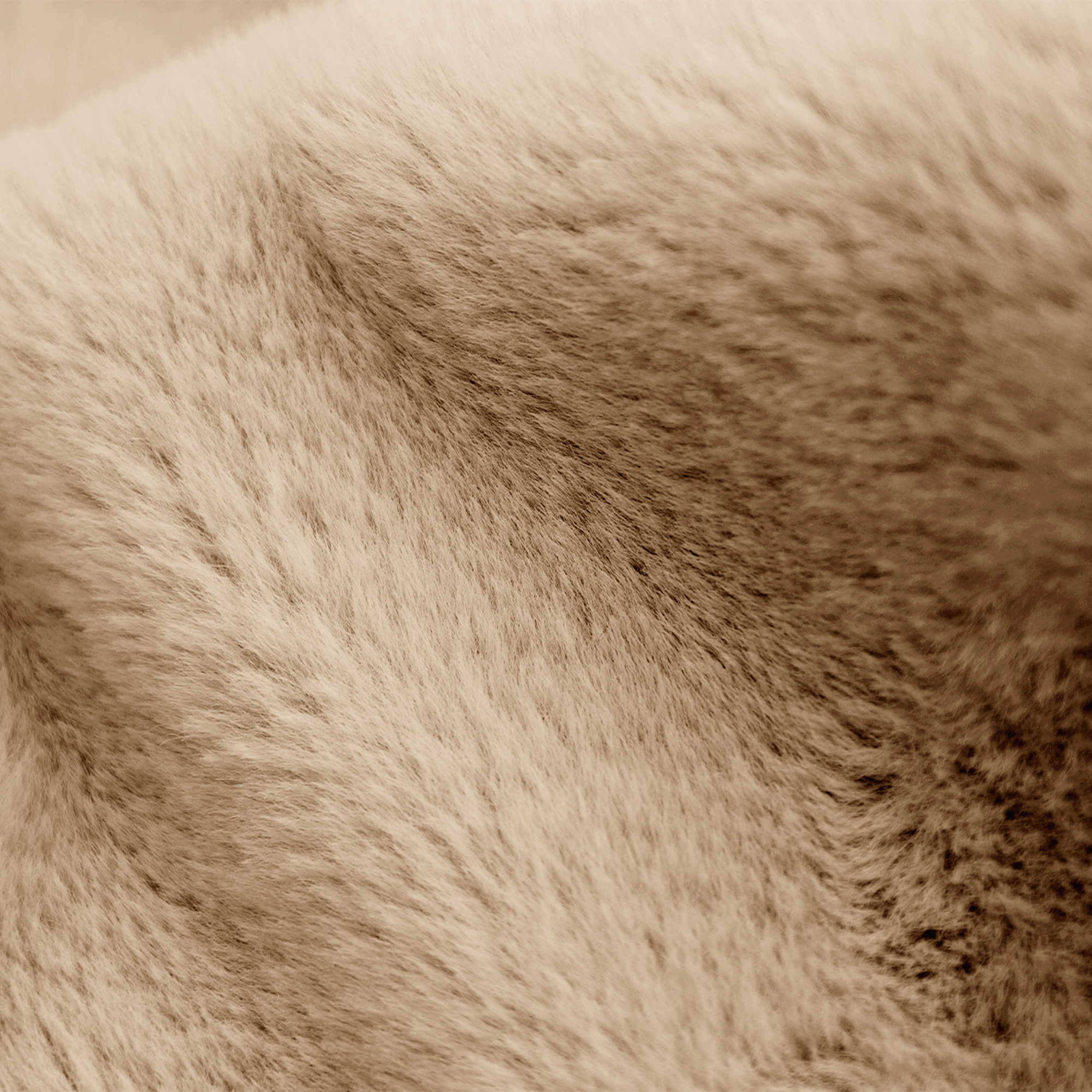 Close-up of soft, textured, beige fur. The fur has a slight wave and variations in tone, creating depth.