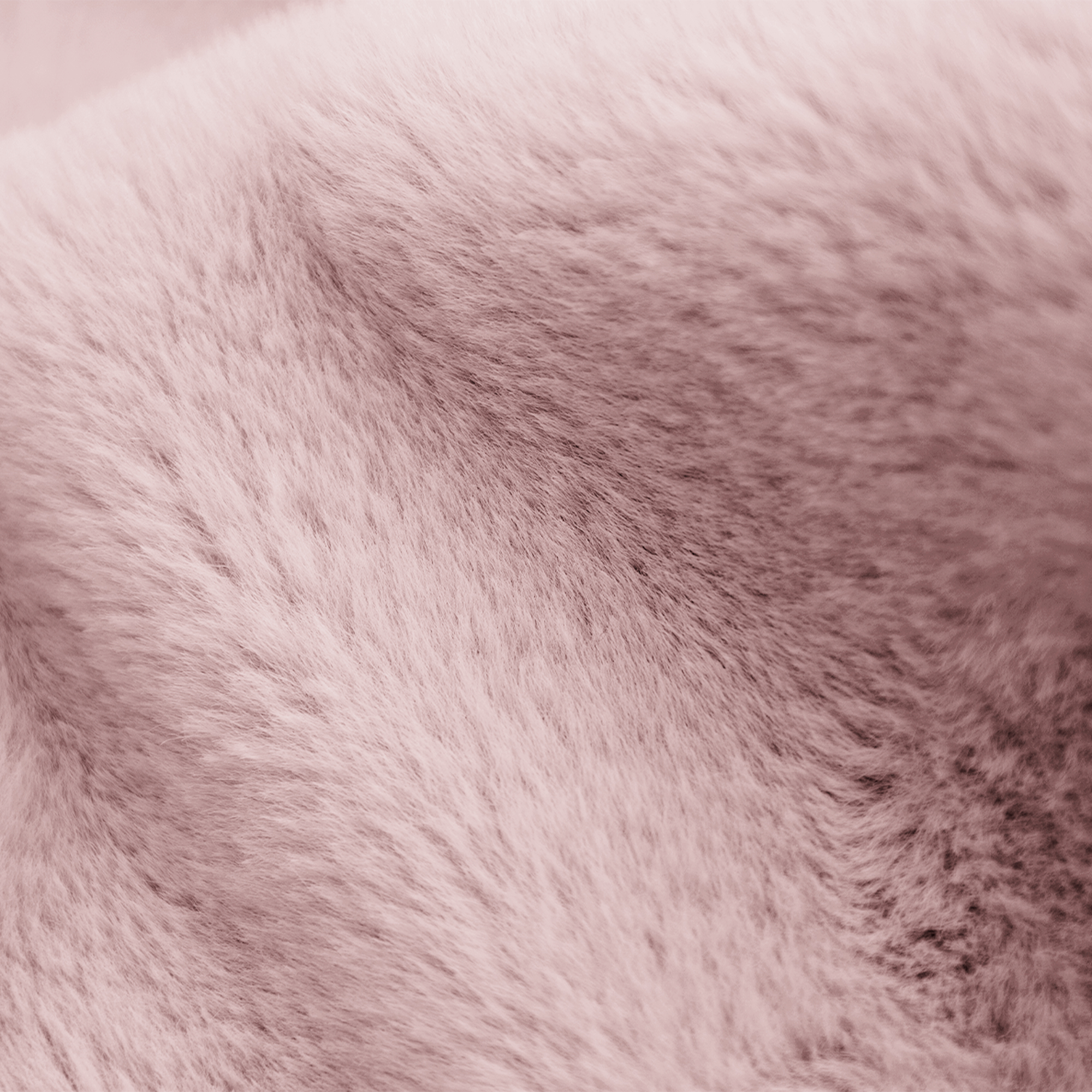 Gros plan sur une fourrure rose douce. La lumière et l'ombre créent de la texture. La fourrure est dense et duveteuse, avec un léger dégradé.