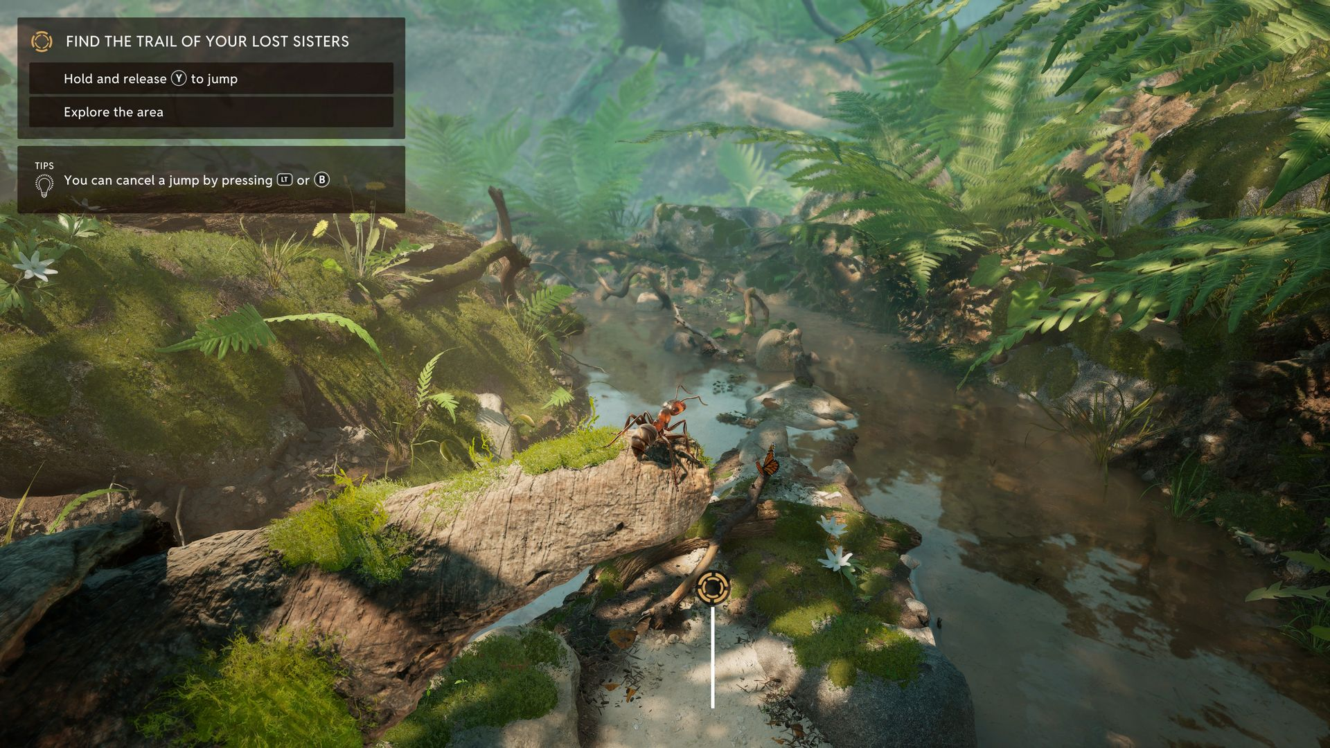 Mrówka stoi na kłodzie nad strumieniem. Scena obejmuje paprocie, mech i podpowiedzi tekstowe do gry.