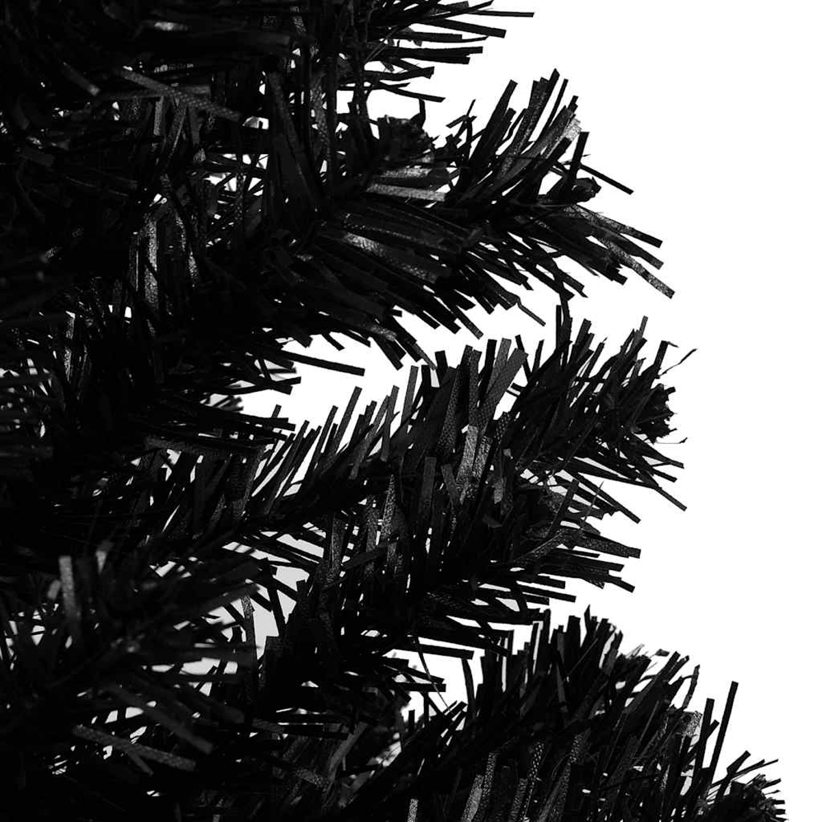 Nahaufnahme eines schwarzen Weihnachtsbaumzweigs. Die Nadeln sind dunkel und stachelig vor weißem Hintergrund.