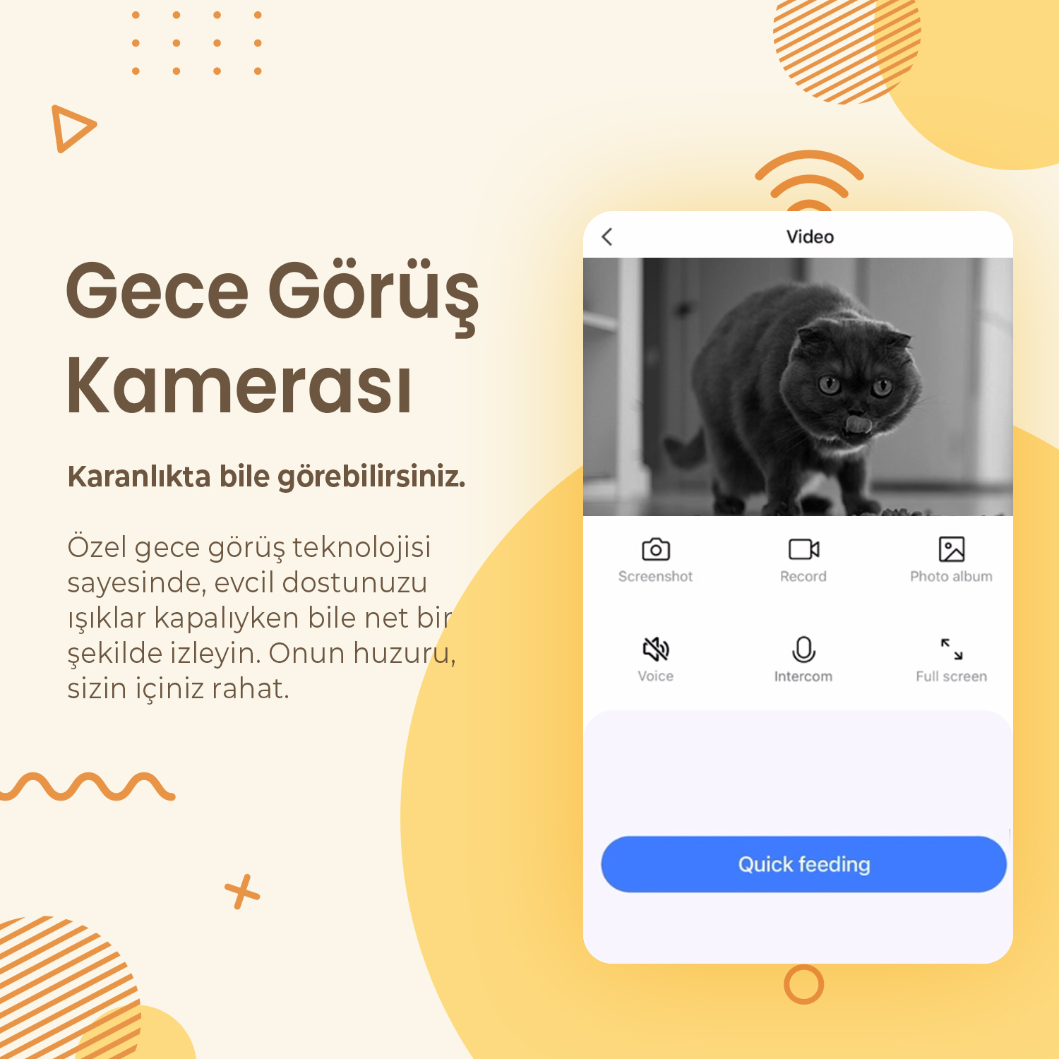 Bir telefon ekranı, bir video görüşmesinde bir kedi gösteriyor. Metin 'Gece Görüş Kamerası' diyor ve karanlıkta evcil hayvanları izlemeyi açıklıyor.
