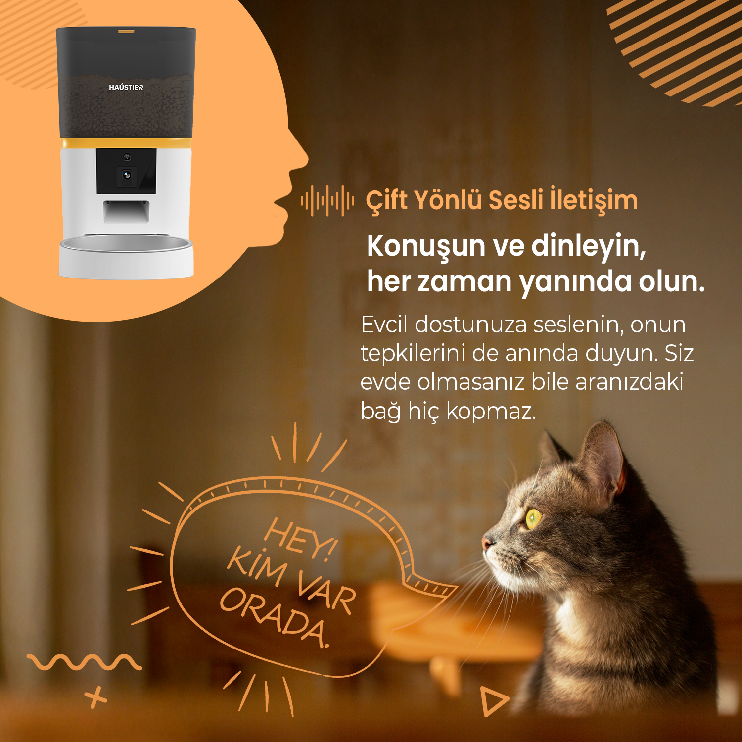 Kedi, mama dağıtıcısına bakıyor. Konuşma balonu 'Hey! Kim var orada?' diyor. Evcil hayvanlarla etkileşim için iki yönlü sesin tanıtımı.