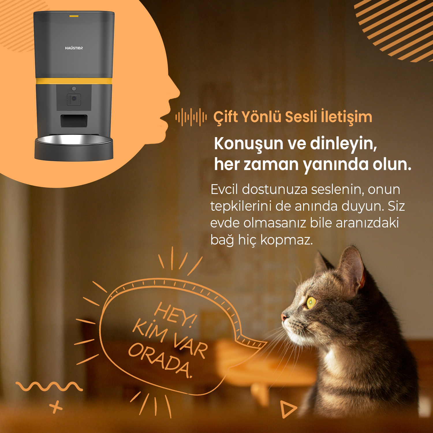 Bir kedi, "Hey! Kim var orada?" yazan bir ses balonu illüstrasyonuyla birlikte bir evcil hayvan besleyiciye bakıyor.