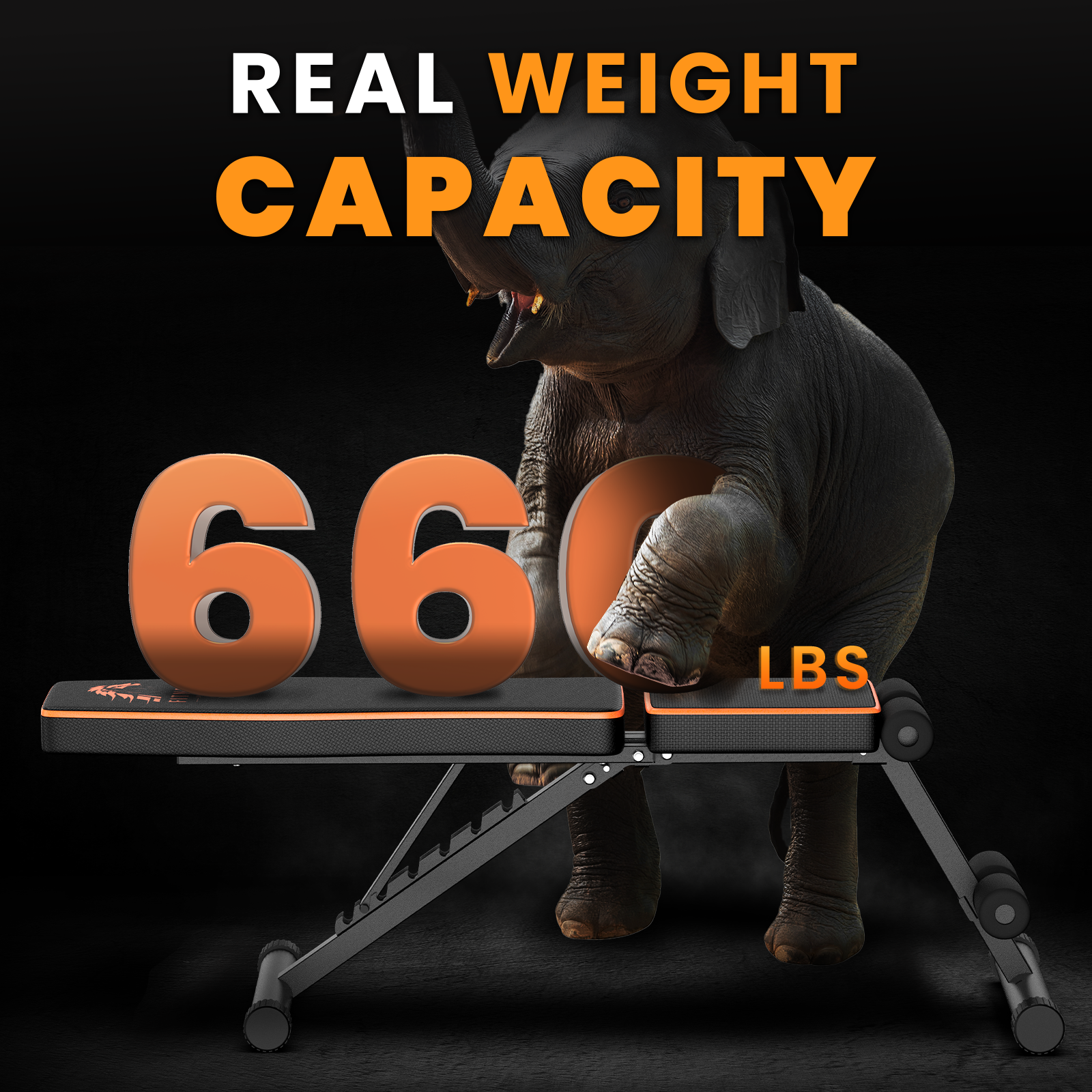 Słoń podtrzymujący ławkę do ćwiczeń z napisem 660 LBS. U góry napis: 'REALNA WYTRZYMAŁOŚĆ'.