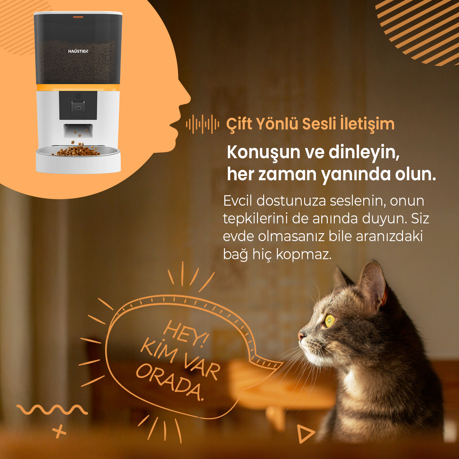 Sağa bakan bir kedi, solda bir mama kabı ve Türkçe metin. Kedi, dağıtıcıya bakan odak noktasıdır.