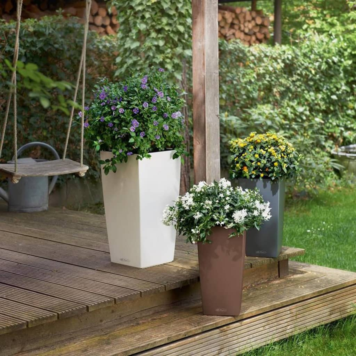 Trois plantes en pot sur une terrasse en bois. L'une a des fleurs pourpres, une autre blanches et une troisième jaunes. Une balançoire et du feuillage vert en arrière-plan.