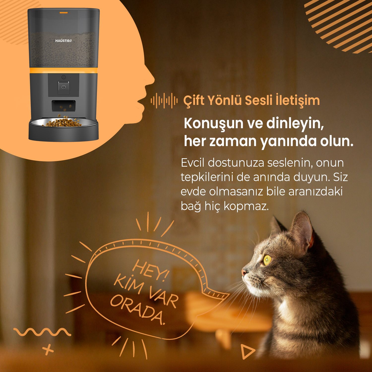 Görselde bir kedi mama kabına bakıyor. Metin 'Hey! Kim var orada?' diyor. Mama kabında yemek ve turuncu bir vurgu var.
