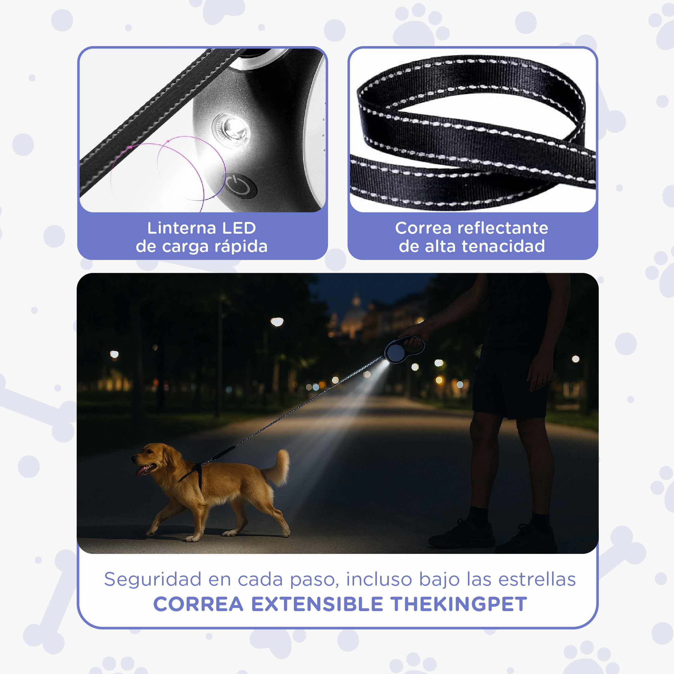 Un perro camina por una calle de noche. Una persona sujeta una correa con luz. La correa es negra con costuras blancas.