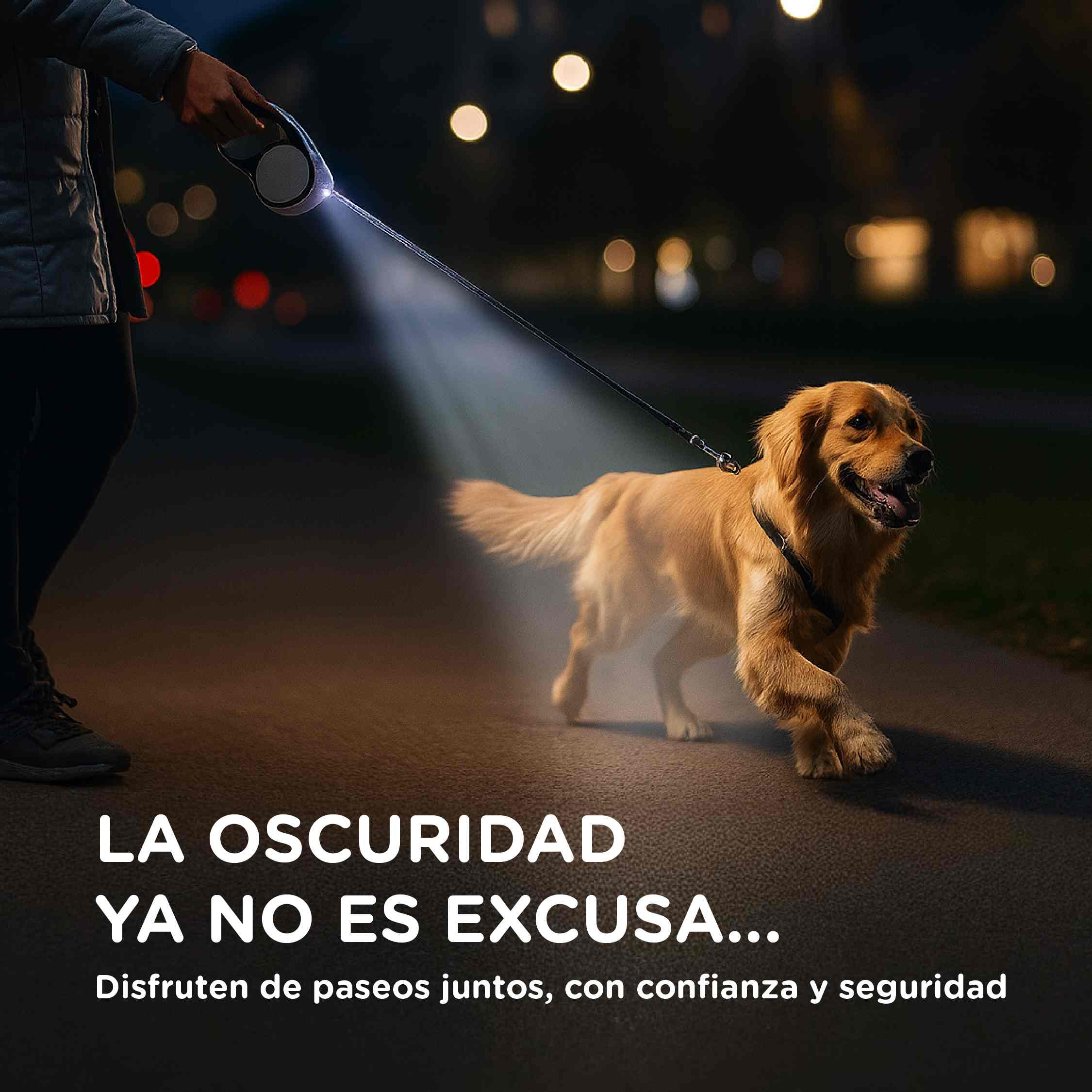 Perro Golden Retriever con correa, caminando en la oscuridad. La correa tiene una luz incorporada, que ilumina al perro. Texto abajo.