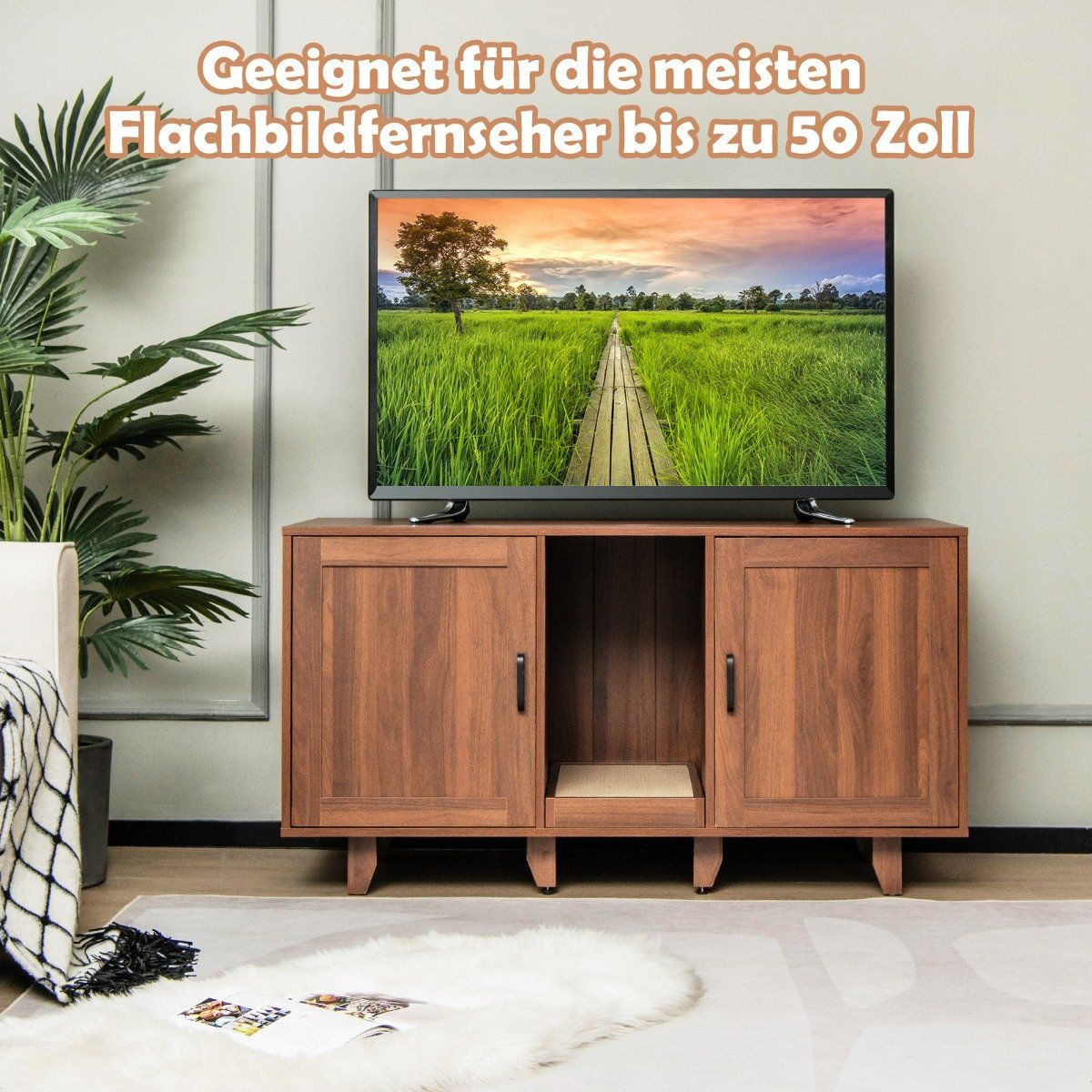 Un televisor sobre un mueble de madera, con una imagen de un campo y un camino de madera en la pantalla. Una planta a la izquierda.