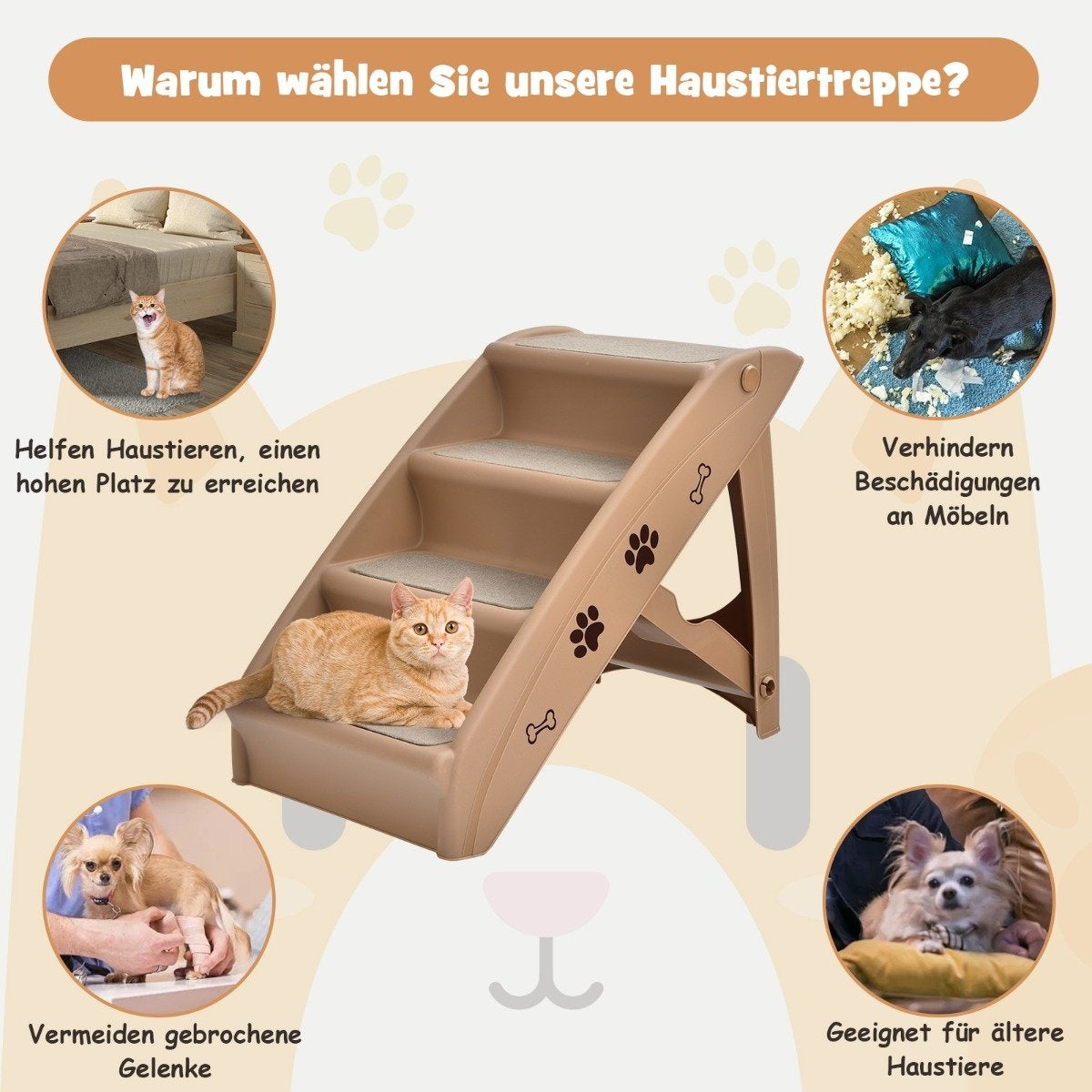 Una escalera para mascotas beige con un gato encima. Las imágenes muestran gatos y perros usándola y sus beneficios.