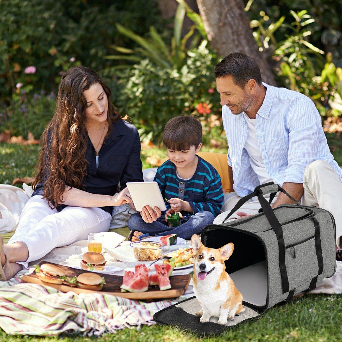 Picnic familiar con un perro. Personas sentadas en una manta, comiendo. Un perro en un transportín. Comida y bebidas en la manta.