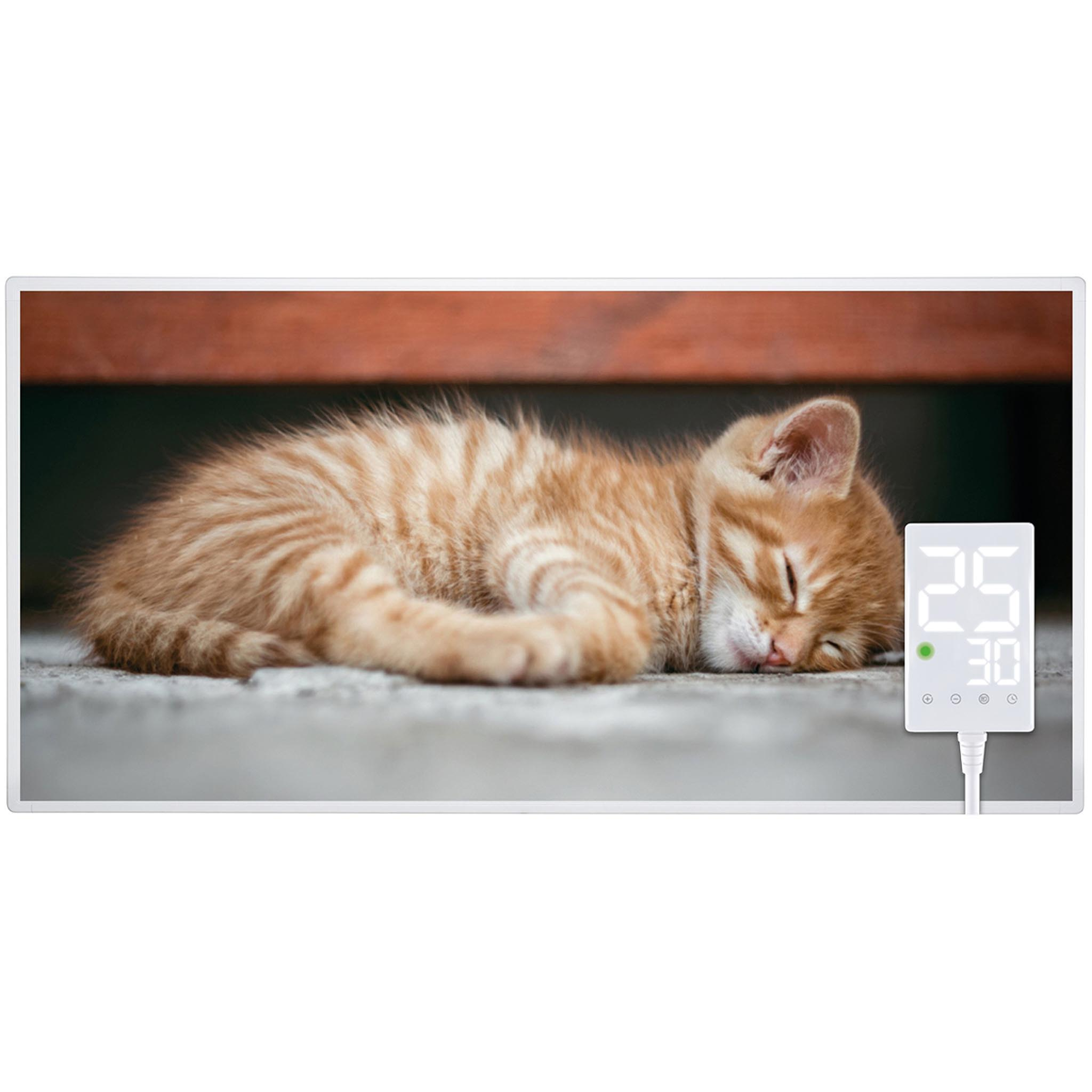Ein schlafendes, orangefarbenes Tabby-Kätzchen auf einer grauen Oberfläche. Auf der rechten Seite befindet sich ein weißes Bedienfeld.
